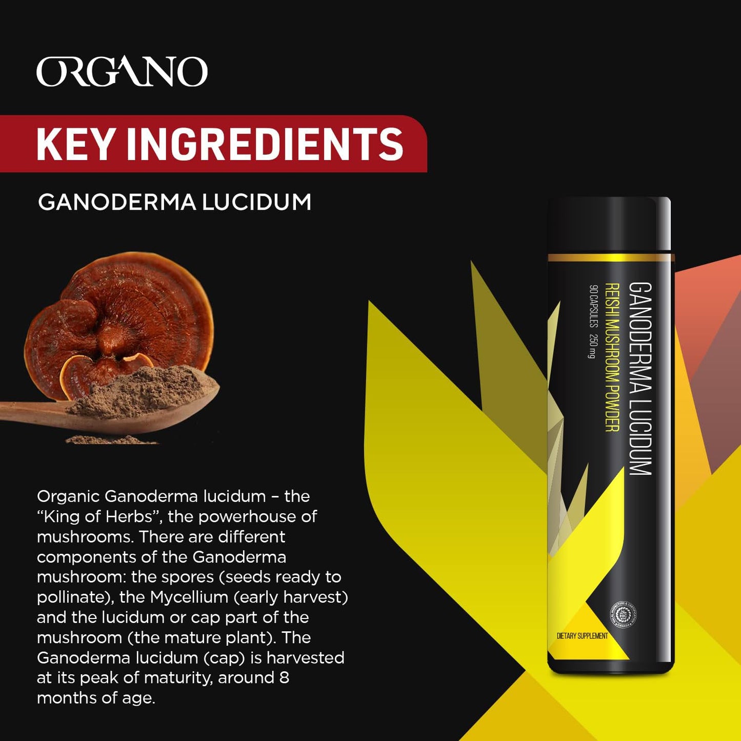 ORGANO OGX Organic Ganoderma Lucidum Capsule, 90 Count