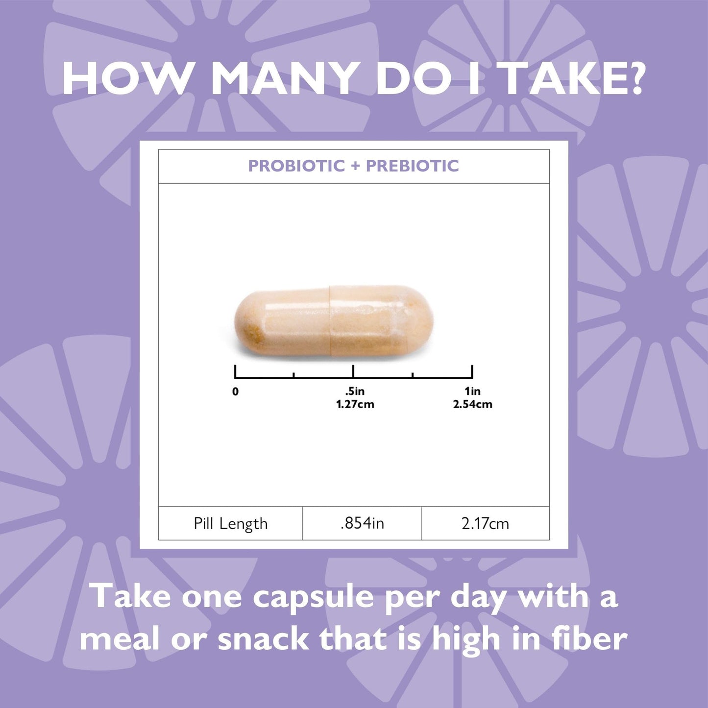 Celebrate Bariatric Supplements Balance Probiotic + Prebiotic Capsule 1