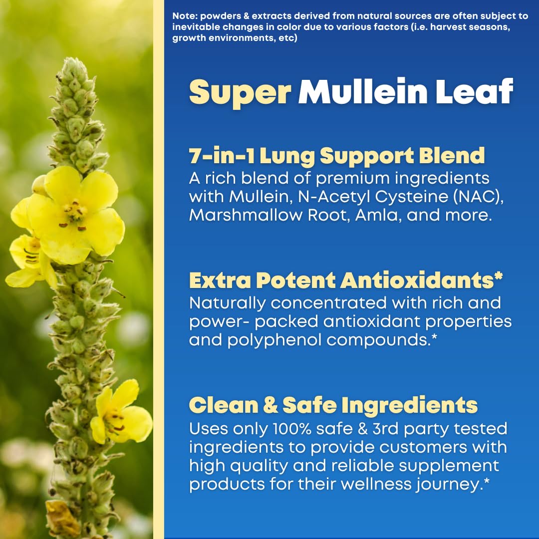 SOLNUVI Mullein Leaf Extract & NAC Lung Detox Cleanse - N-Acetyl Cysteine, Marshmallow Root, Bromelain - Lung Health, Sinus, Mucus Removal Support Supplement for Smokers, 90 Capsules