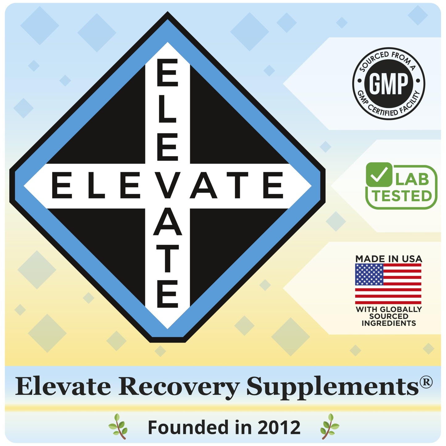 Elevate Recovery Supplements Ayurvedic Herbs 17-in-1 Supplement Capsule, 30 Count