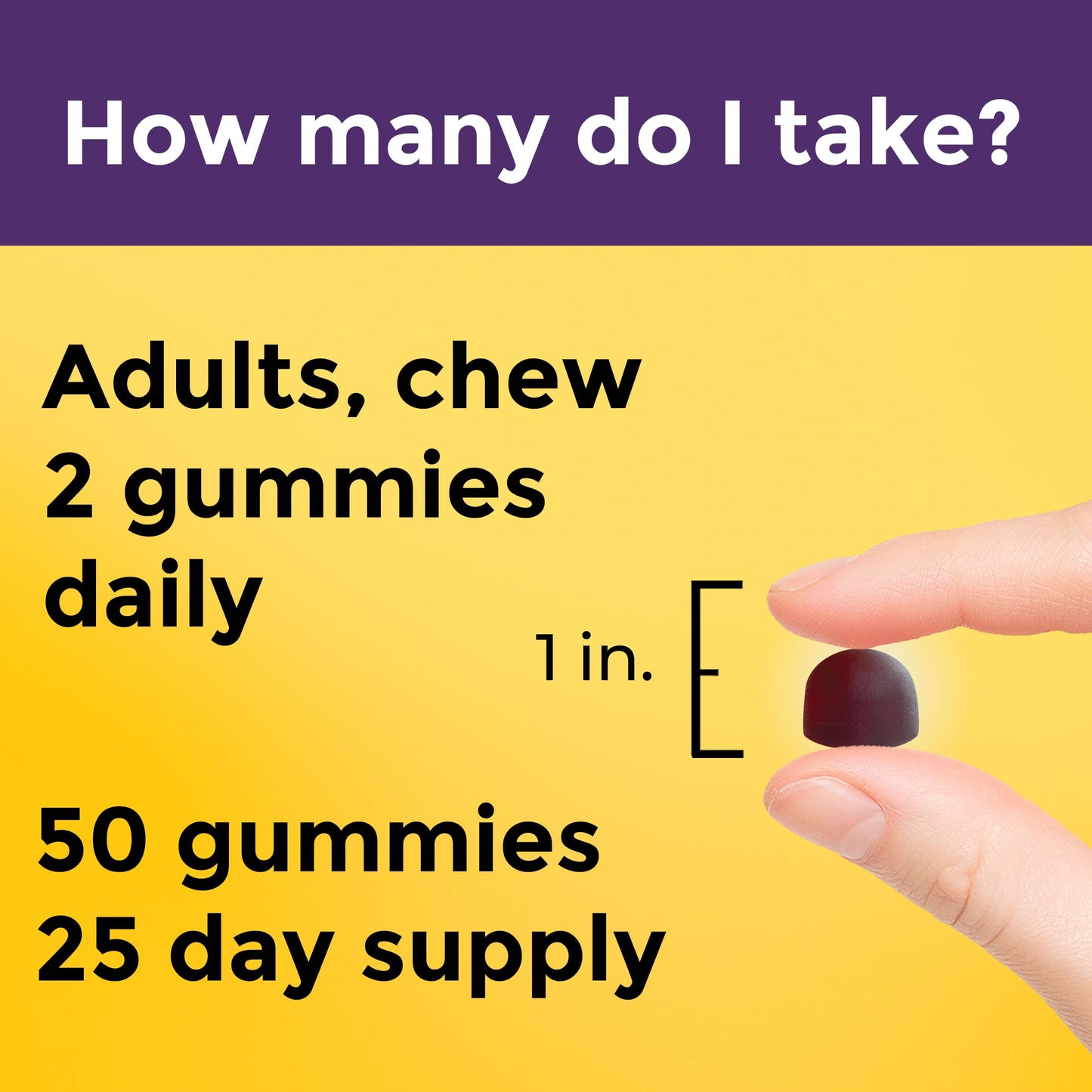 Nature Made Probiotic + Prebiotic Fiber Gummies for Daily Gut Health 100 Gummies