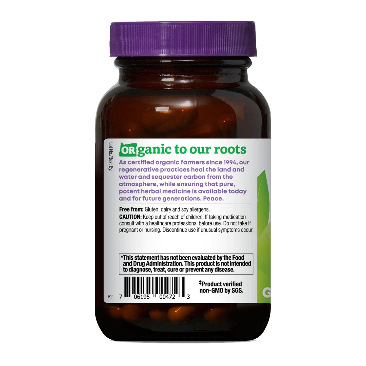 Oregon's Wild Harvest Lion's Mane Organic Herbal Supplement, Capsules, 90 Count