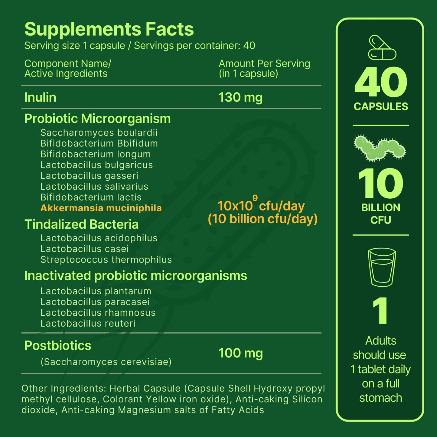 anocin Akkermansia Muciniphila + Probiotic, Postbiotic & Inulin Tablet, 1 Count