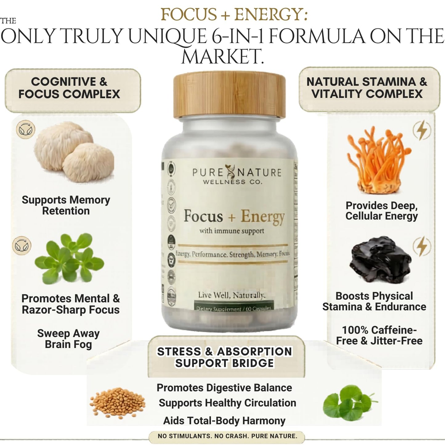 Pure Nature Wellness Co. Focus + Energy + Performance Support-6-in-1 Mushroom Nootropic & Mitochondrial Complex-Advanced Brain Supplement-Natural Energy-Caffeine Free Biohack with Lion’s Mane, Cordyceps, Mumijo, Fenugreek, 60 Capsules