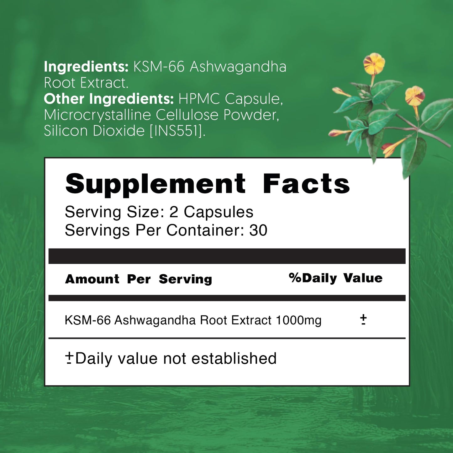 Therapeia Zoi Ashwagandha KSM-66 Capsules 60 Count
