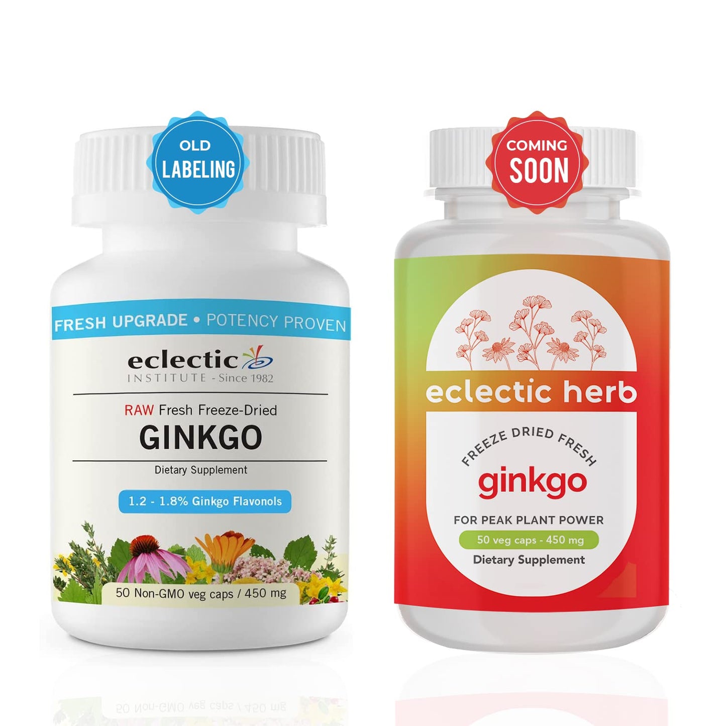 Eclectic Institute Ginkgo Biloba Capsule, 50 Count