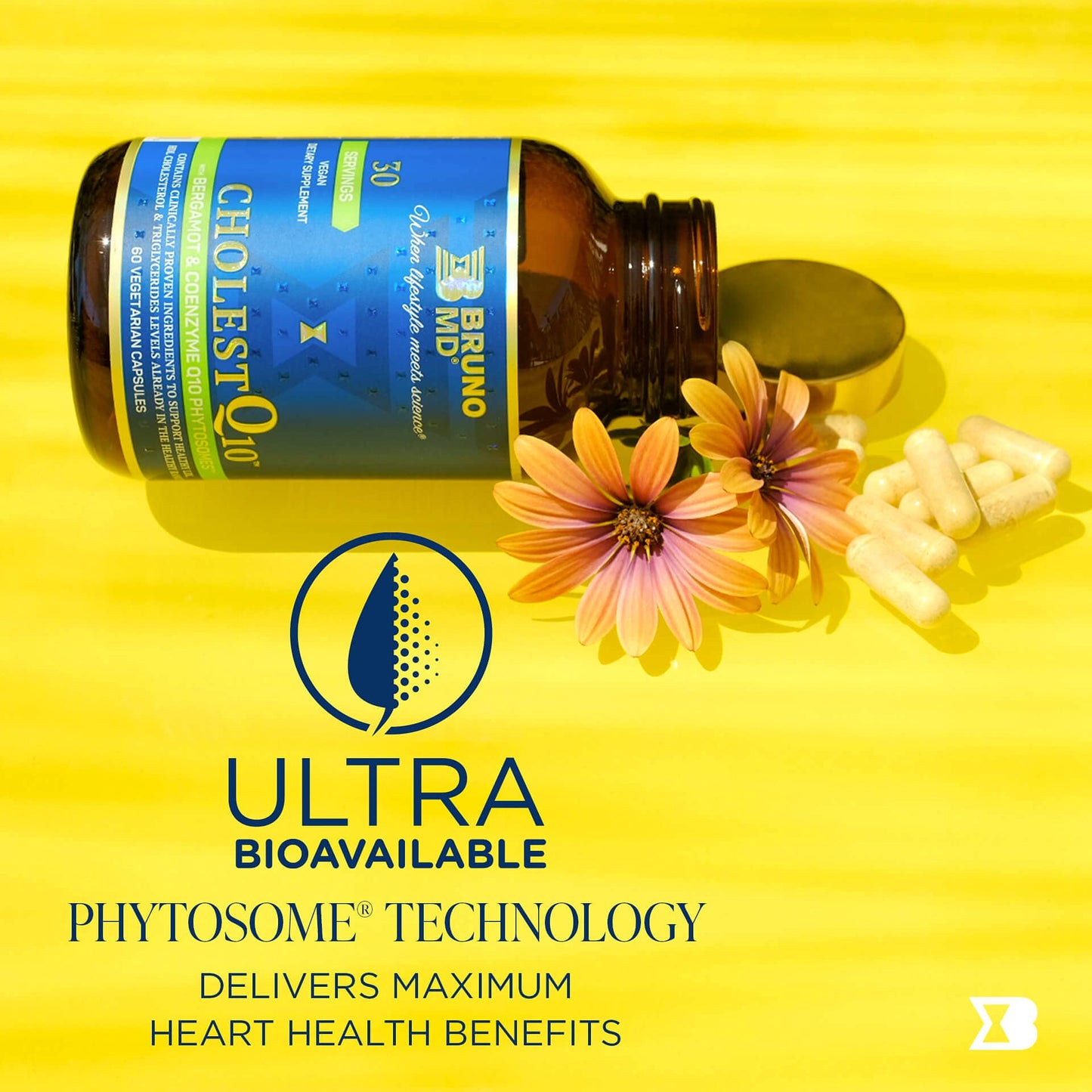 BRUNO MD CholestQ10 Supplement Capsule, 60 Capsules