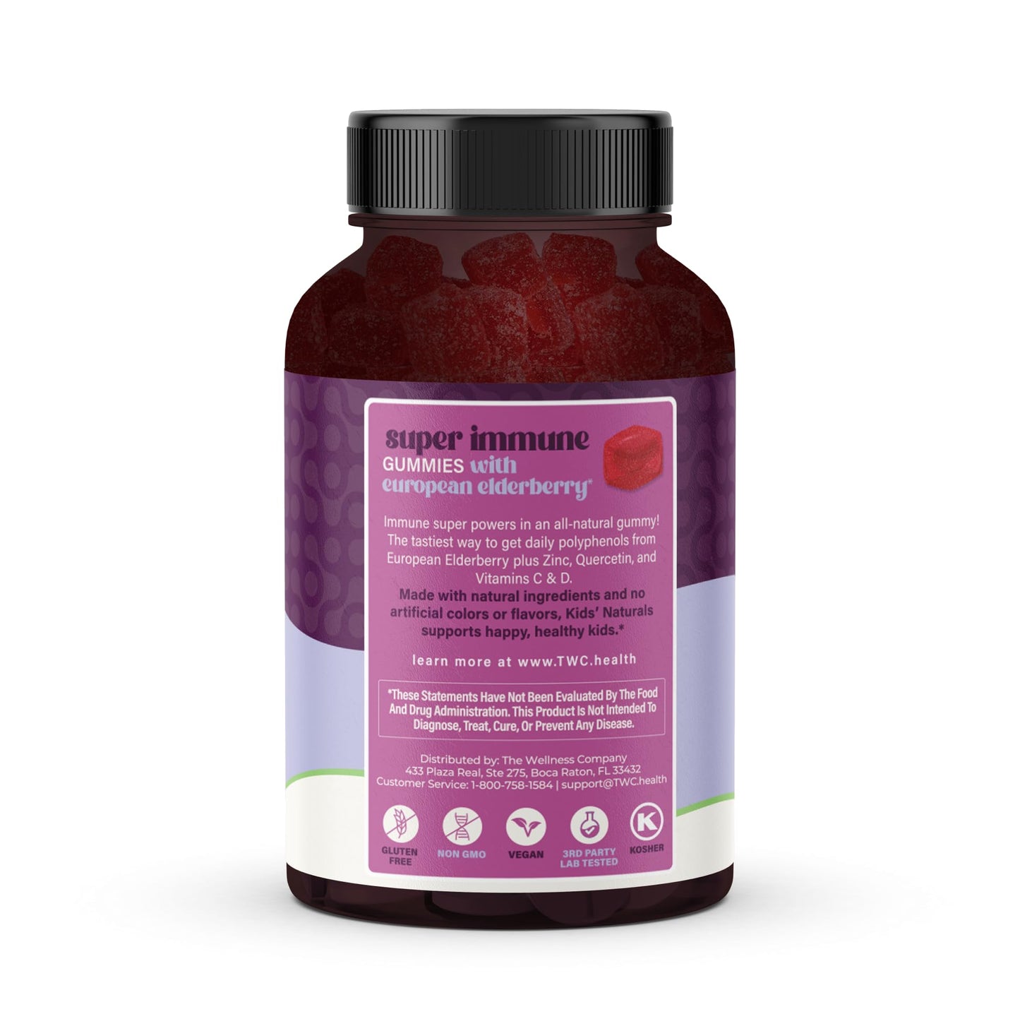 The Wellness Company Kids Naturals Elderberry Gummies – Immune Support with Vitamin C & Zinc, 120 Gummies