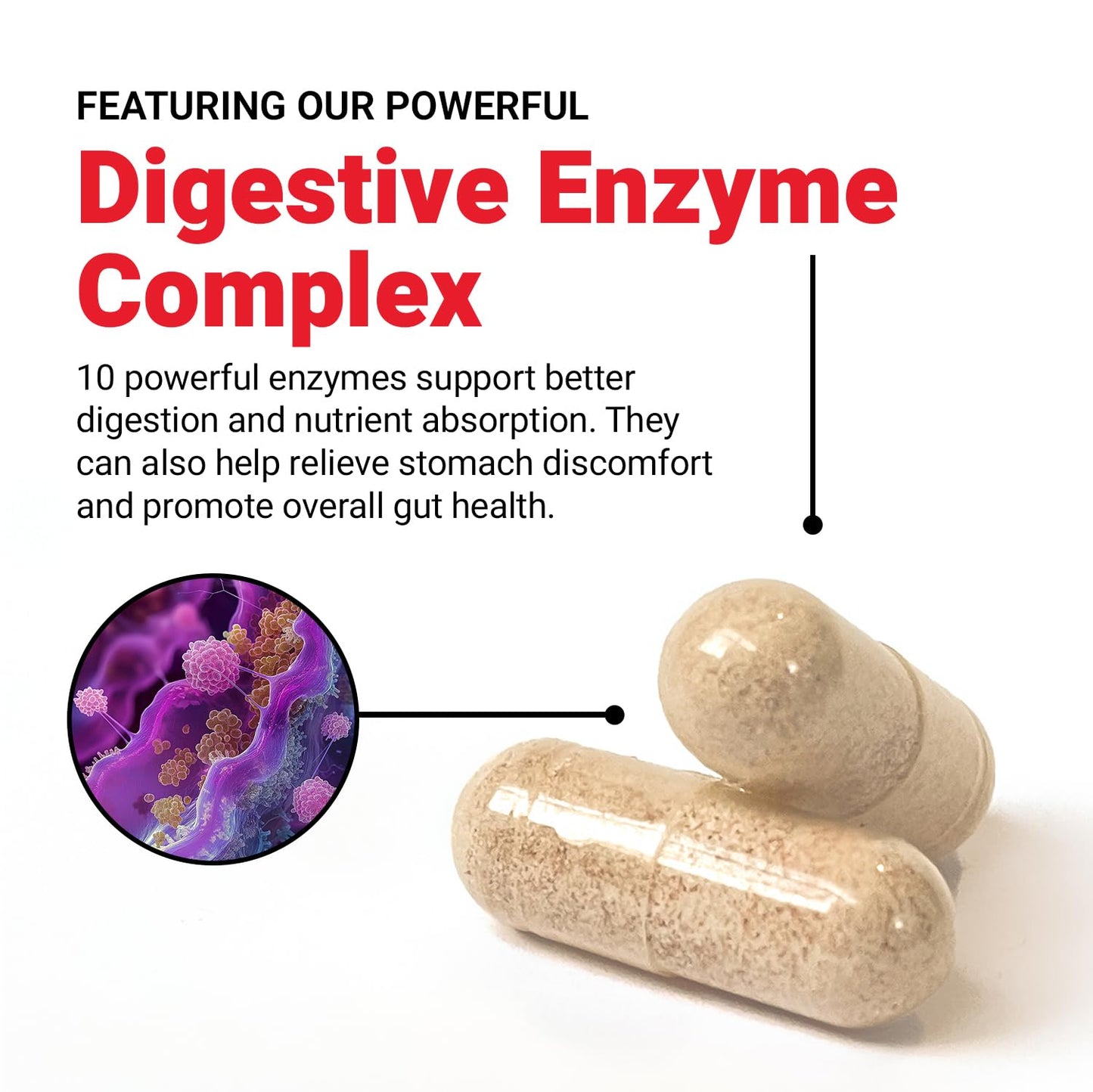 Force Factor Digestive Enzymes Complex Capsules 90 Capsules
