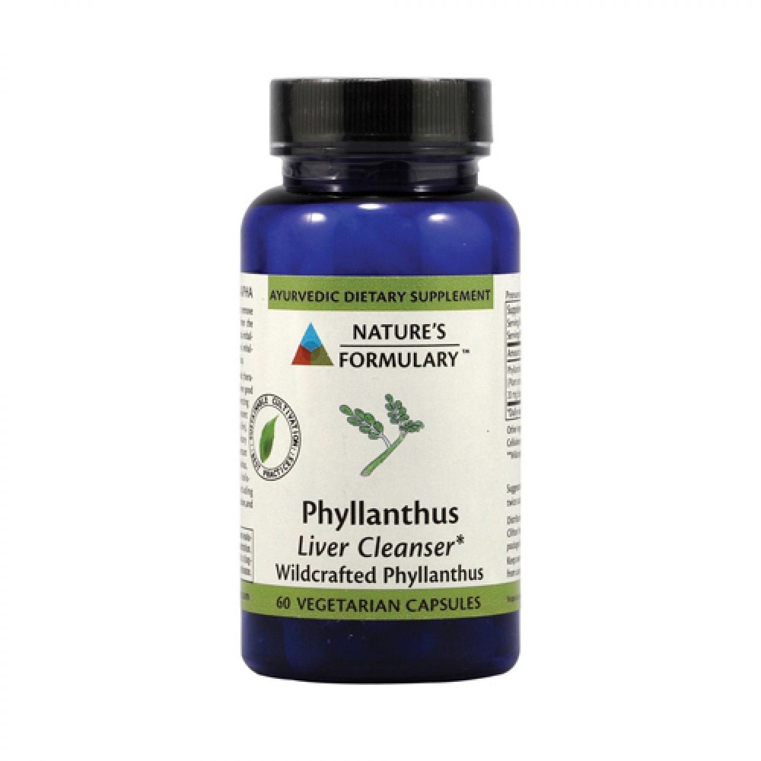 Nature's Formulary Phyllanthus Capsule 1 Count