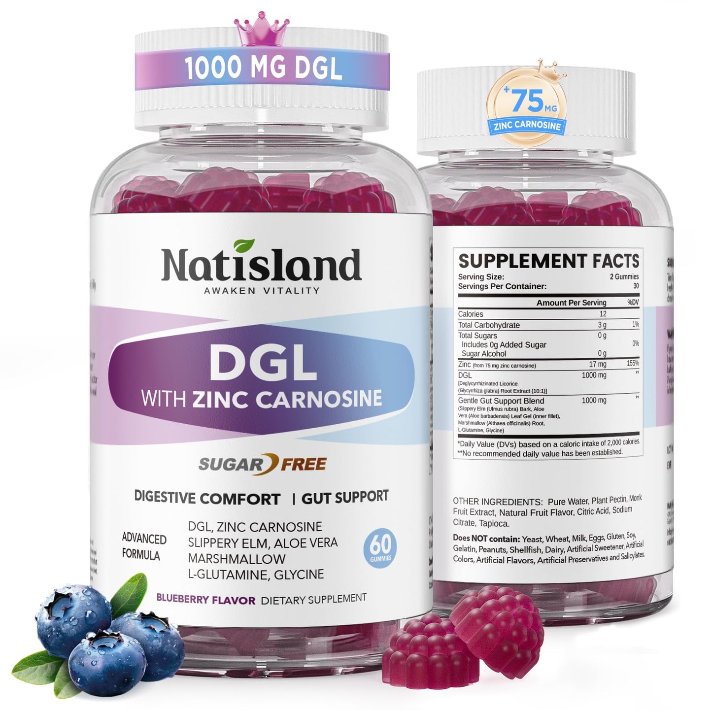 NATISLAND DGL & Zinc Carnosine Gummies, 60 Count
