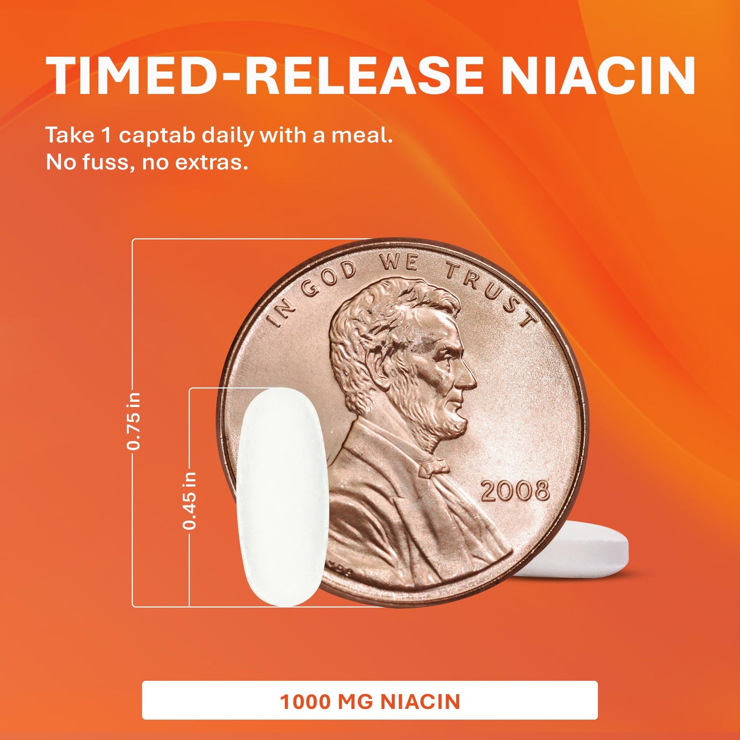 Rugby Laboratories Timed-Release Niacin 1000mg Dietary Supplement, 100 Tablets