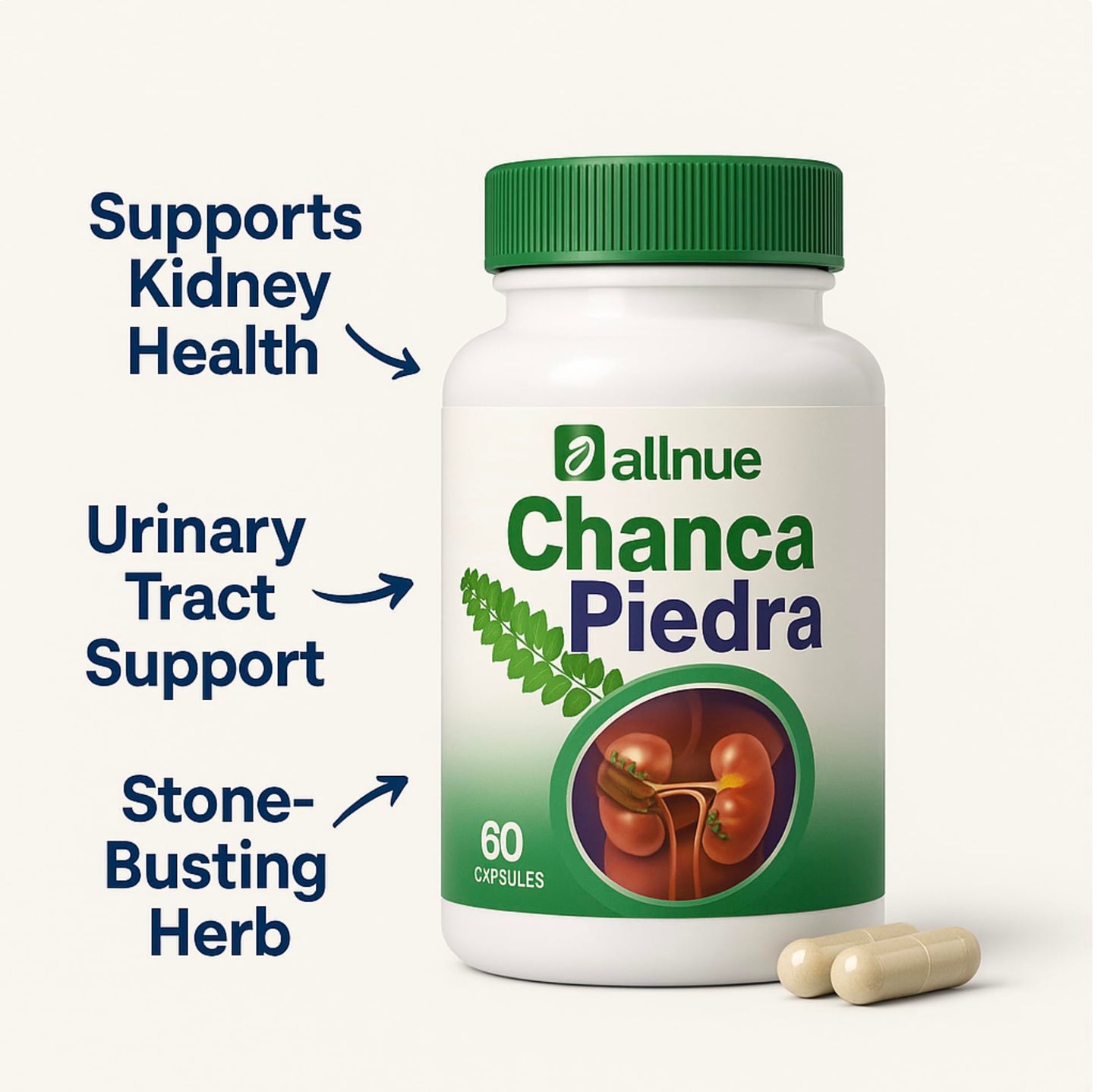 Generic Chanca Piedra with Phyllanthus Niruri Herb Extract Capsules, 60 Count
