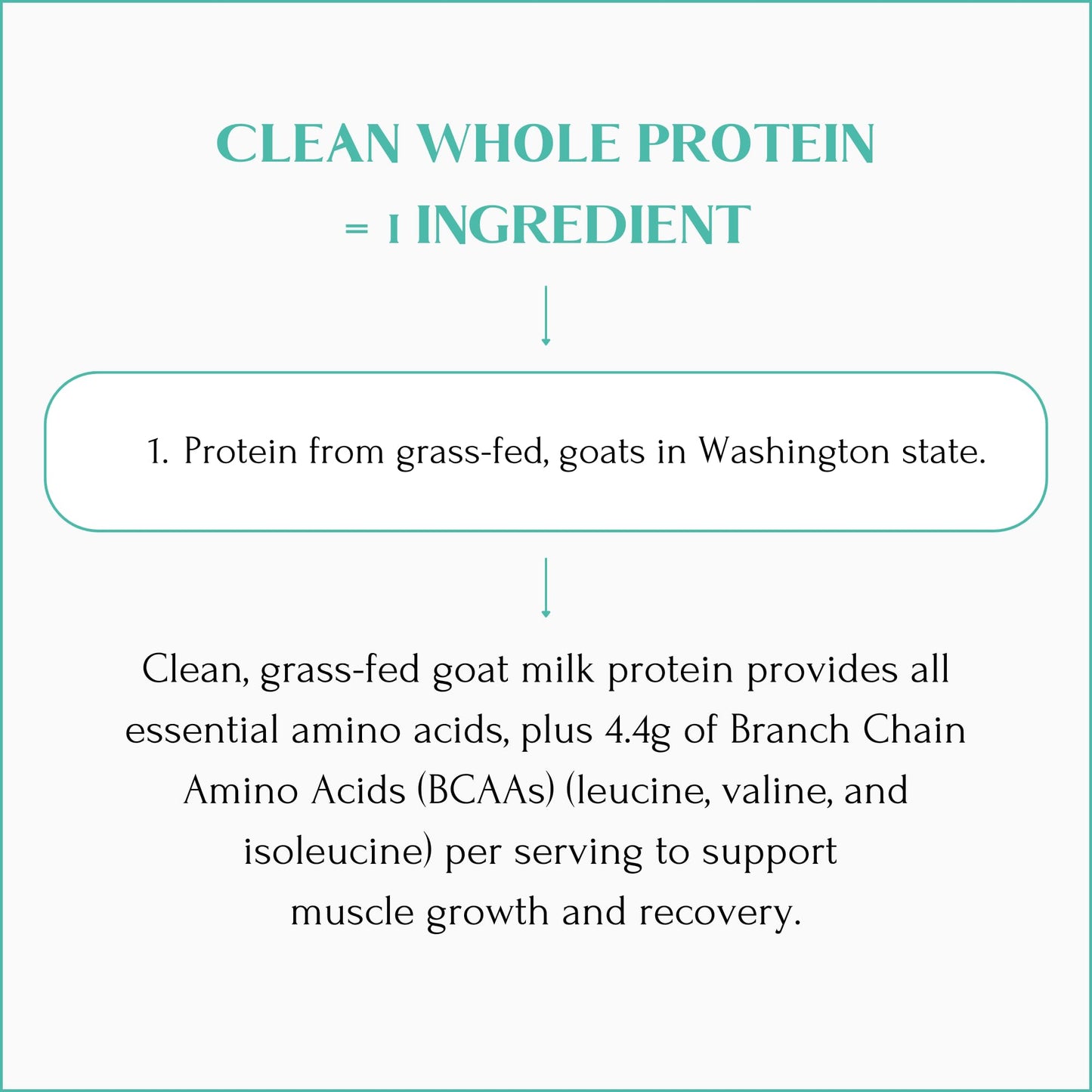 Mt. Capra Clean Whole Protein - Grass-Fed Goat Protein with Whey and Casein - Protein Powder, 14.11 oz