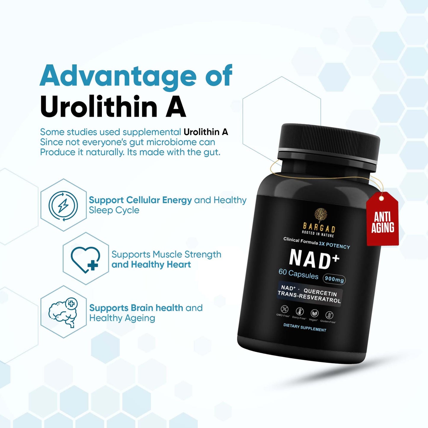 Bargad NAD+ Capsule 60 Count