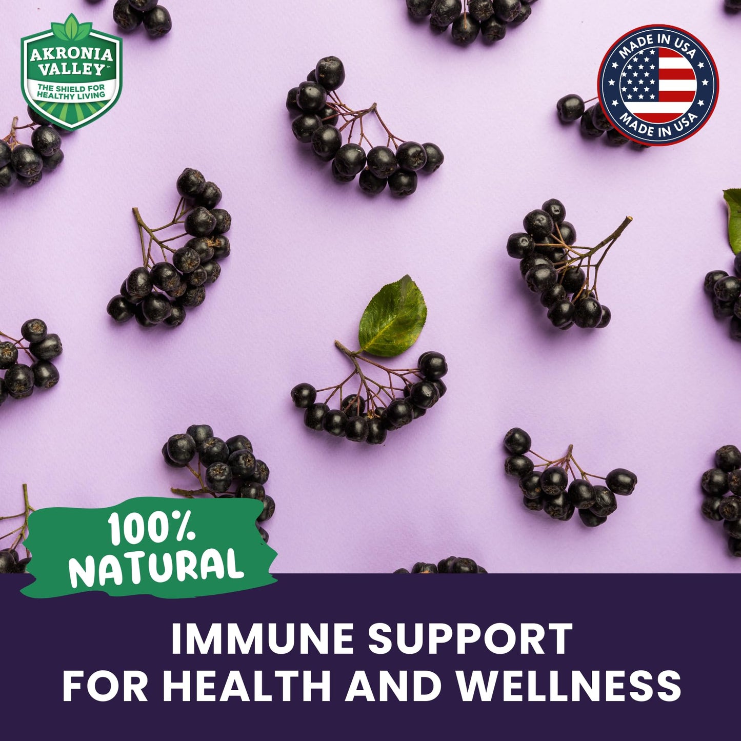 Akronia Valley Aronia Berry Gummies Gummy 45 Count