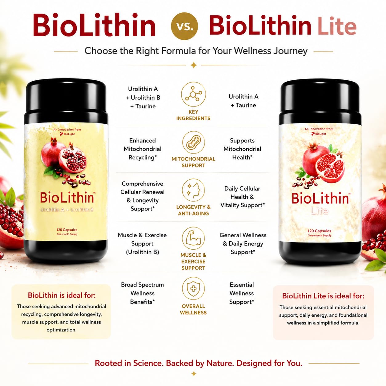 BIOLIGHT BioLithin Premium Urolithin A + Urolitin B Complex with Taurine Capsule 120 Count Mitochondrial Recycling, Muscle Support, Cellular Energy, Vitality & Longevity Support