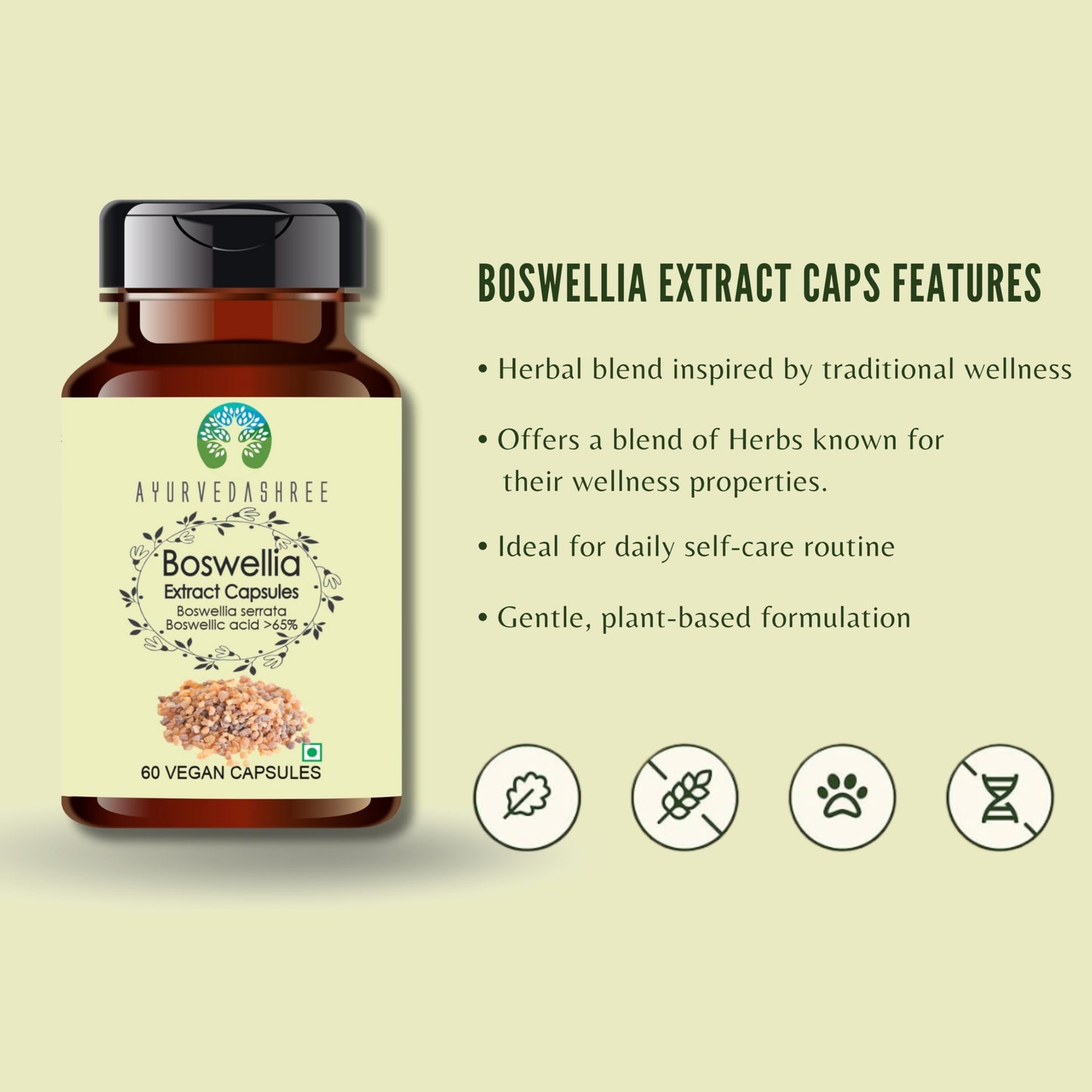 AYURVEDASHREE Boswellia Serrata Extract 500mg Capsule, 60 Count