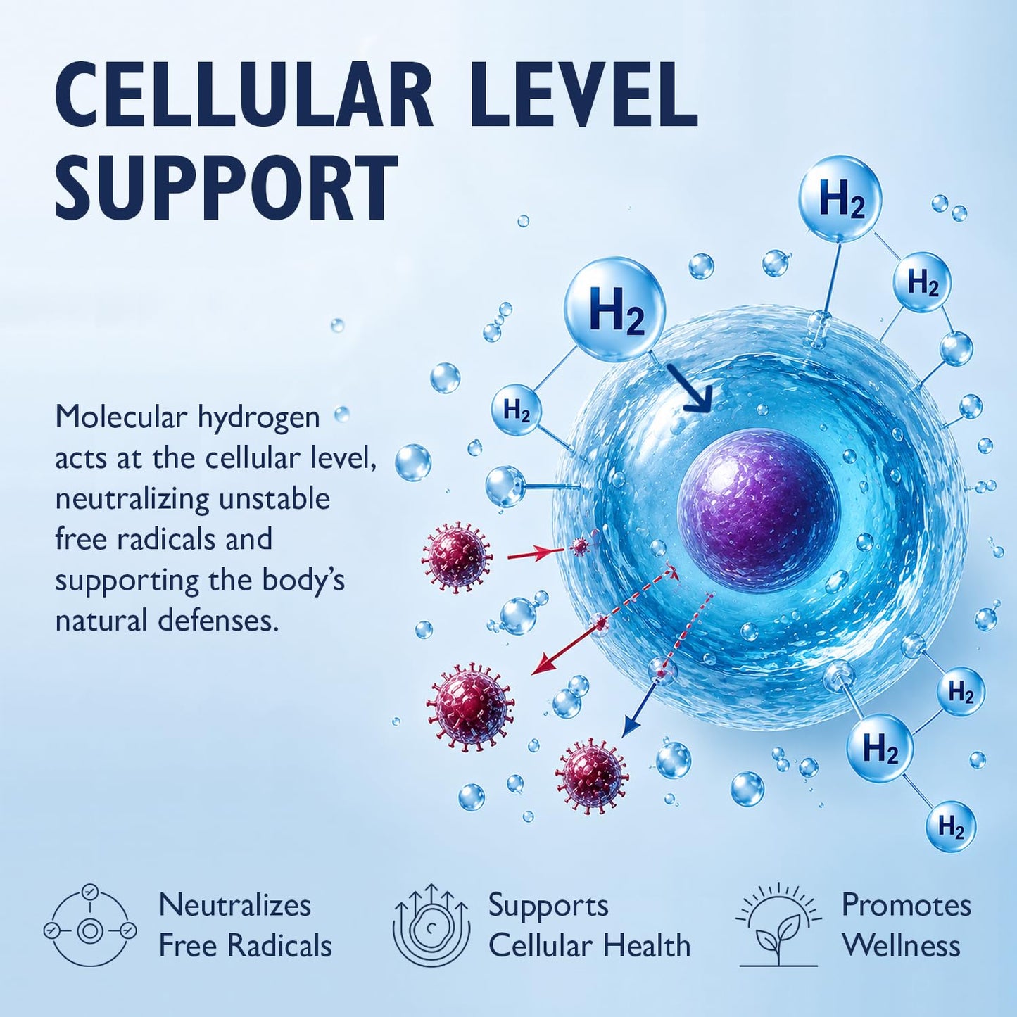 Ficpoud Molecular Hydrogen Tablets 12 PPM – Advanced H2 Water Tablets for Recovery & Cellular Defense – with Magnesium, Taurine & L-Theanine, Support for Workout & Daily Wellness, 60 Tablets
