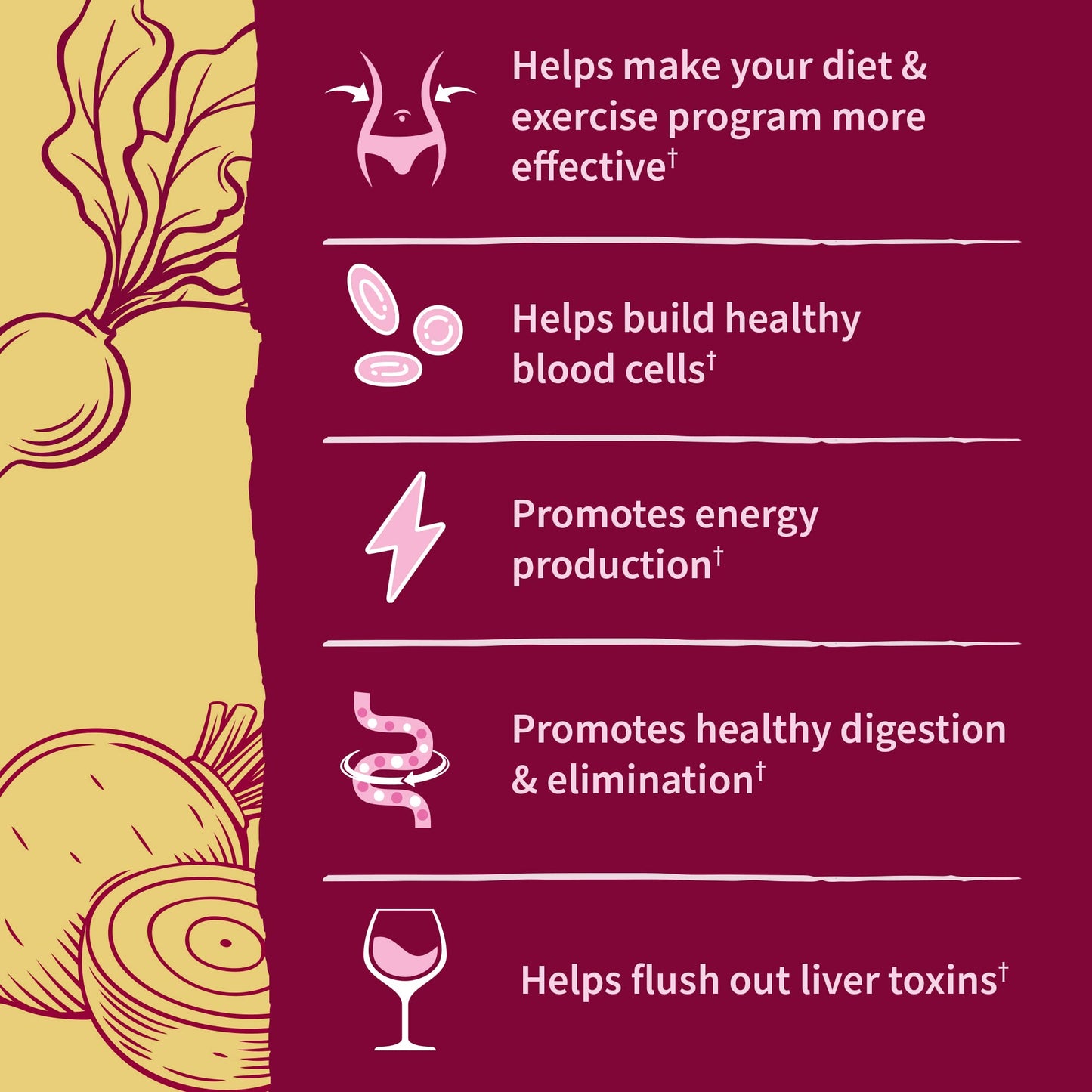 Garden of Life Organic Beet Root Powder with Antioxidants, Vitamin C, Probiotics & Apple Cider Vinegar Detox – 30 Servings