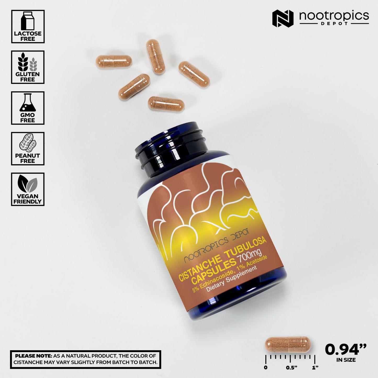 Nootropics Depot Cistanche tubulosa 700mg Capsules, 60 Count