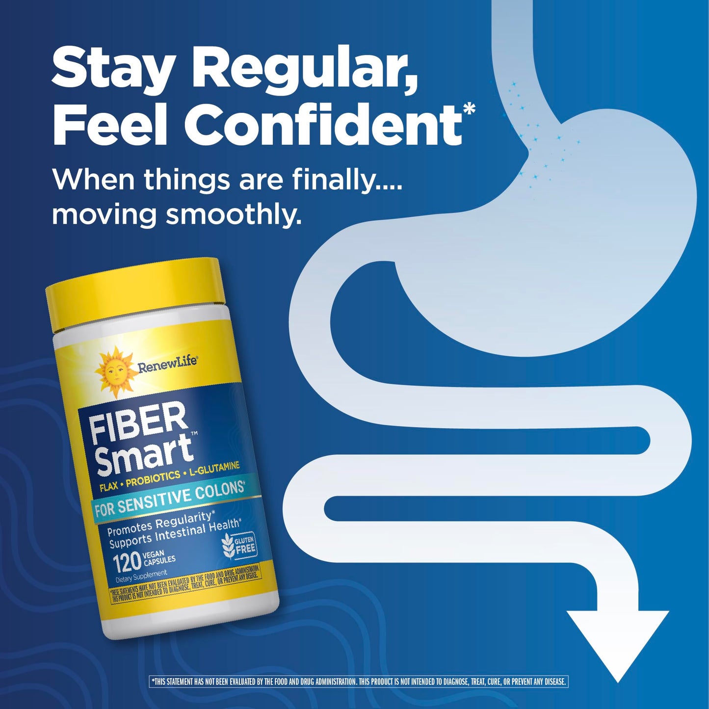 Renew Life Adult Fiber Supplement - Fiber Smart - Dietary Fiber - Gluten & Soy Free, 120 Capsules