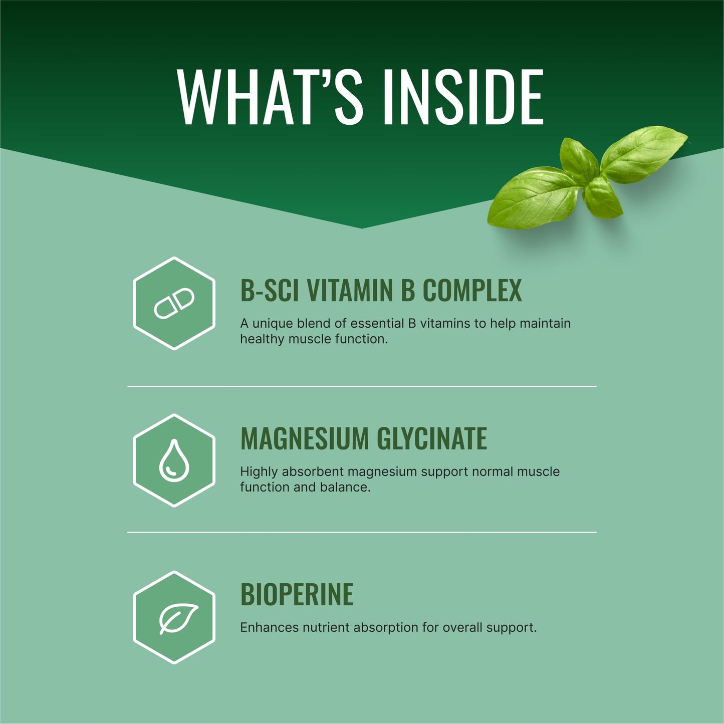 Approved Science Cramprin High Absorption Magnesium, Vitamin B Complex, BioPerine - Muscle Cramps - 60 Tablets
