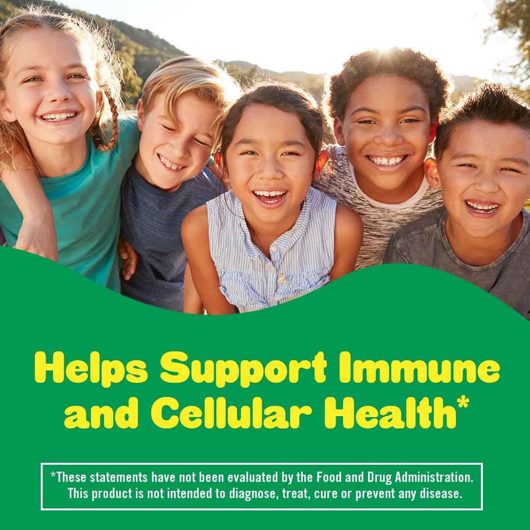 Lil Critters Immune C Gummy Supplement with Vitamin C, Zinc and Vitamin D3 for Immune Support, 190 Count