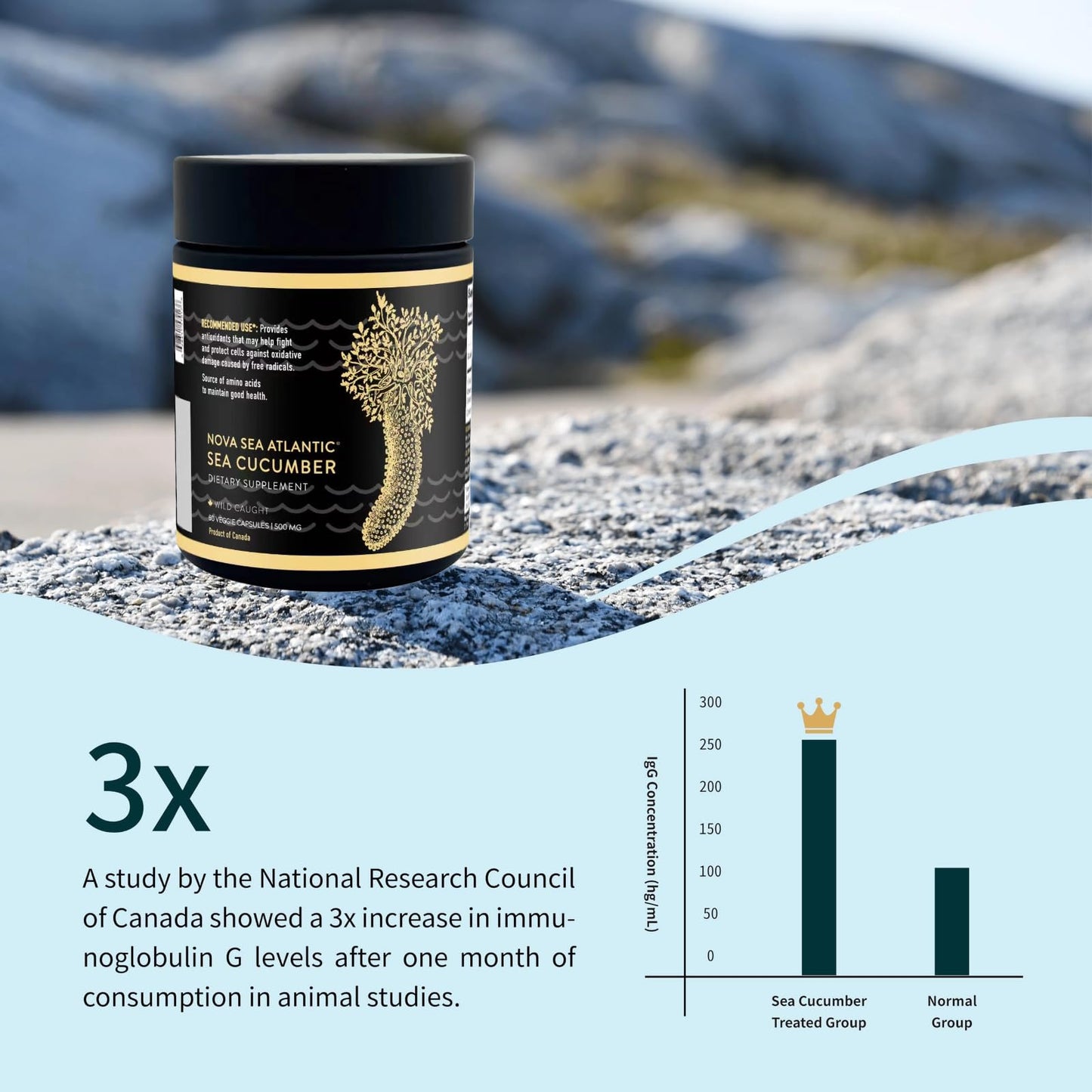 Nova Sea Atlantic Sea Cucumber Supplement Capsules, 120 Capsules