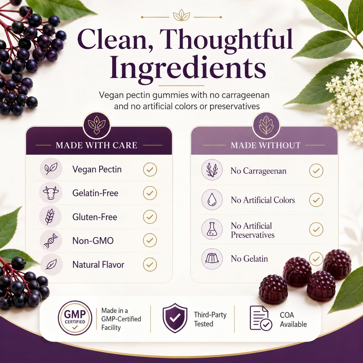 Natural BioScience Sambucus Elderberry Gummies with Zinc and Vitamin C, 60 Gummies