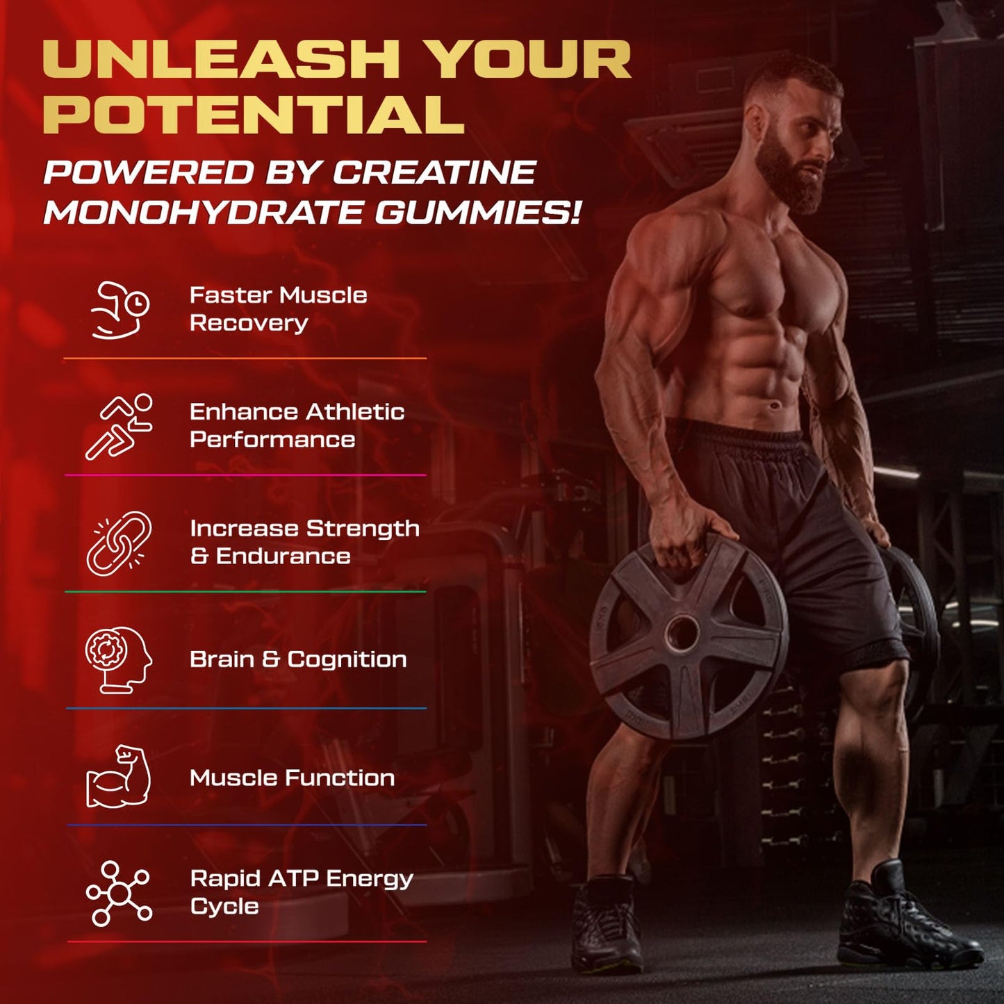 ZyterX Creatine Monohydrate Gummies for Men & Women 240