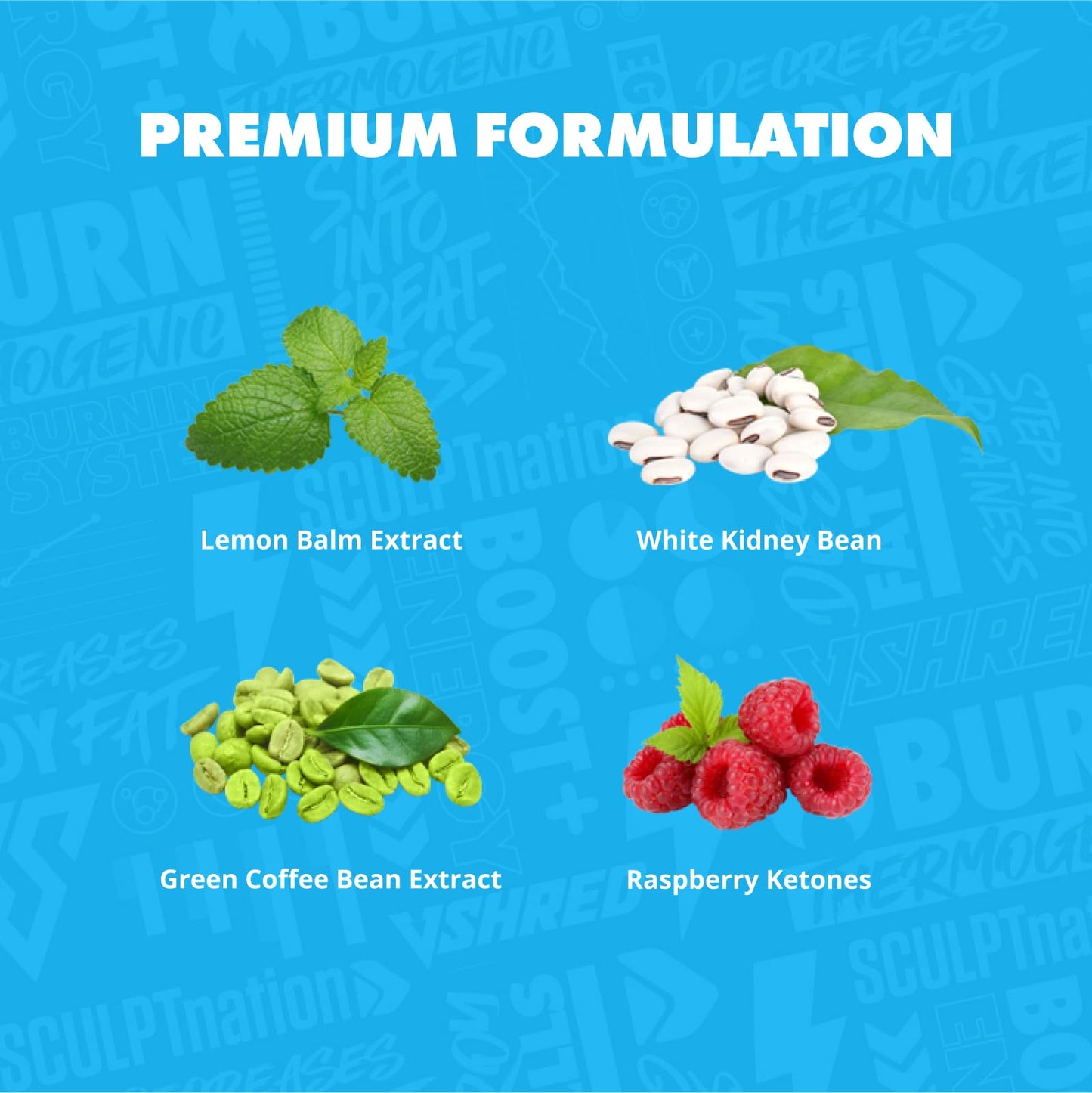 Sculpt Nation Burn Day and Burn PM Metabolism Booster and Post-Workout Melatonin for Sleep Support Capsules 120