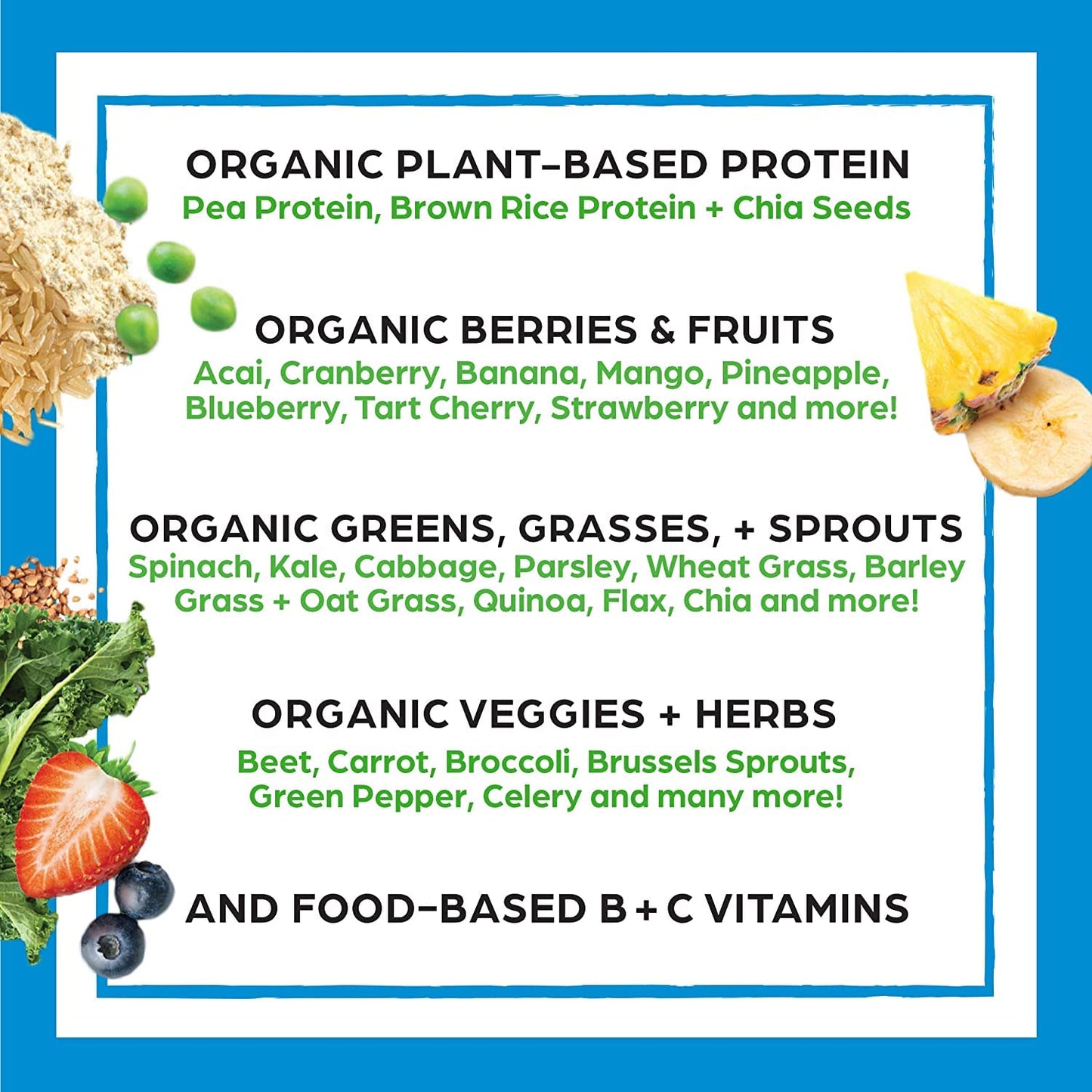 Orgain Organic Protein + Superfoods Powder Creamy Chocolate Fudge & Orgain Organic Vegan Protein Powder Vanilla Bean, 2 Piece Assortment, 65 Servings