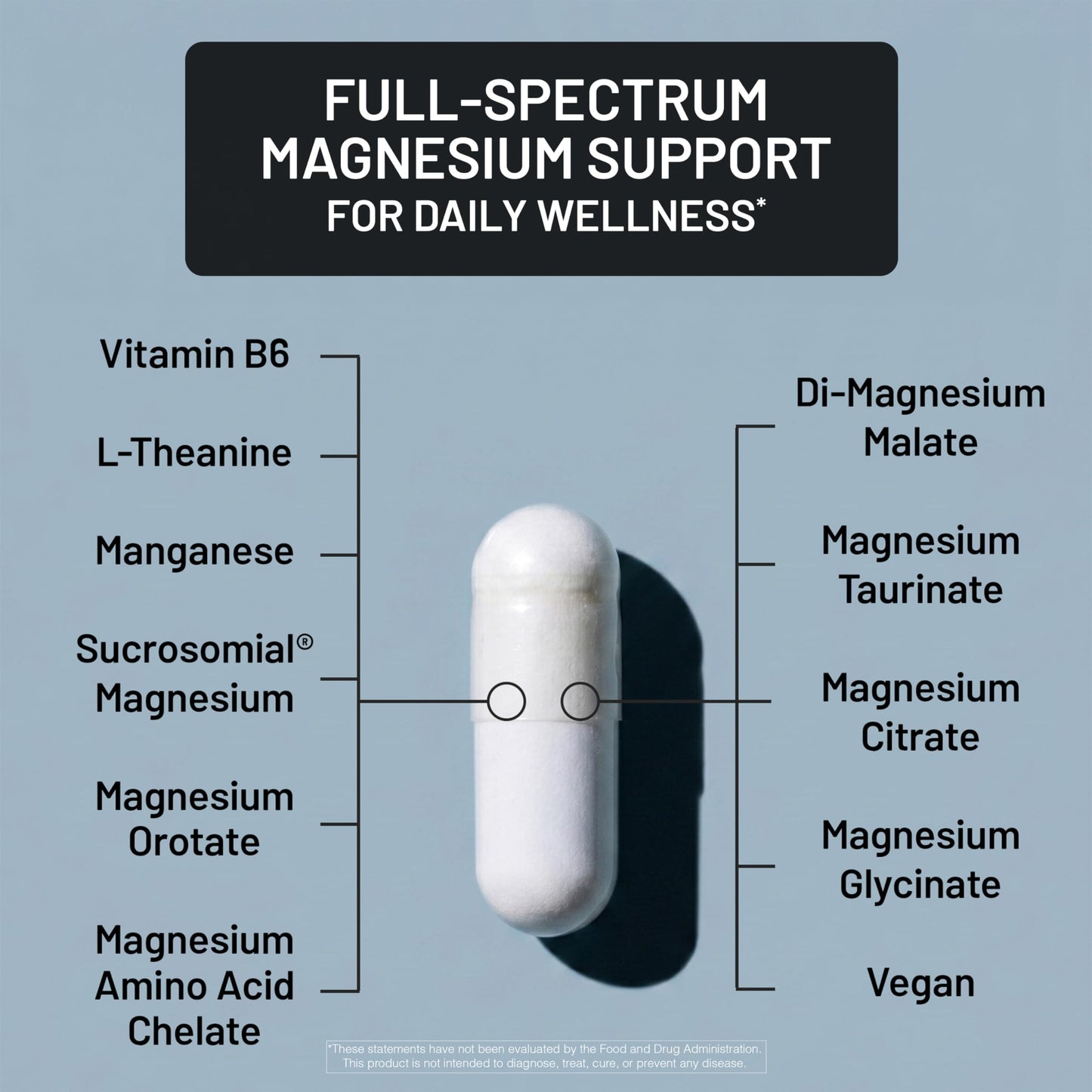 NatureWise Magnesium Complex 500mg - 7 Types with Magnesium Glycinate, Citrate, Malate, Sucrosomial and More - Added L-Theanine - Sleep, Heart Function, and Muscle Support - 60 Capsules