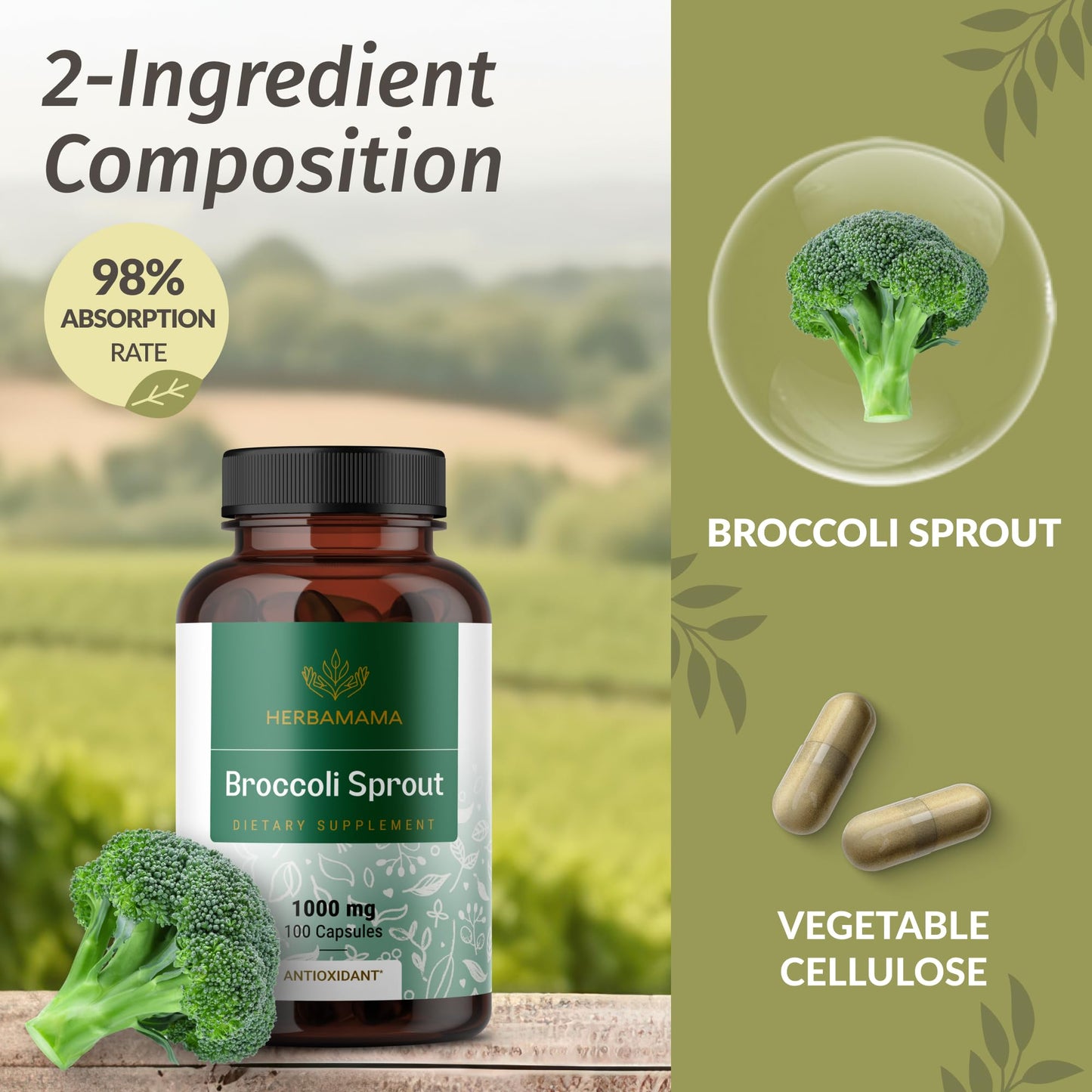 HERBAMAMA Sulforaphane Supplement from Broccoli Sprouts – 1000 mg Broccoli Sprout Extract for Immune Support & Antioxidant Support, 100 Vegan Capsules