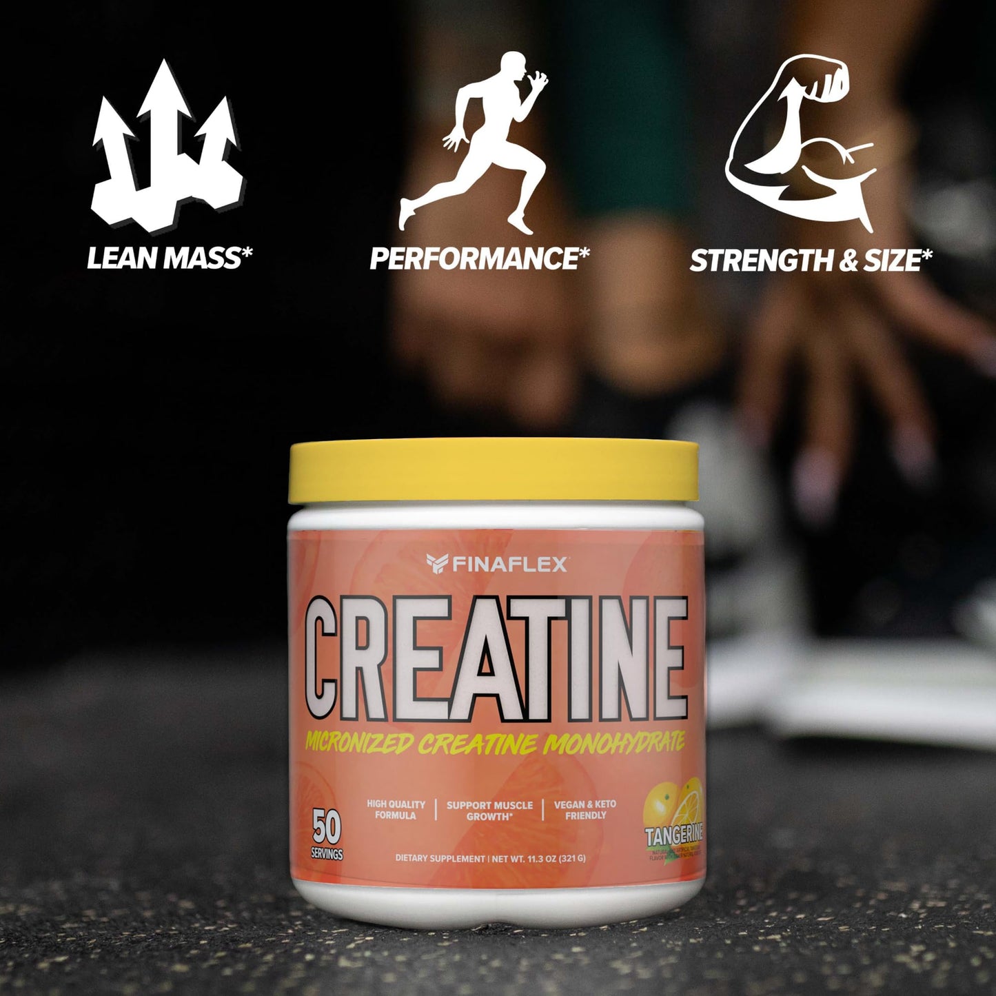 FINAFLEX Pure Creatine Monohydrate Powder 11.3 Ounce