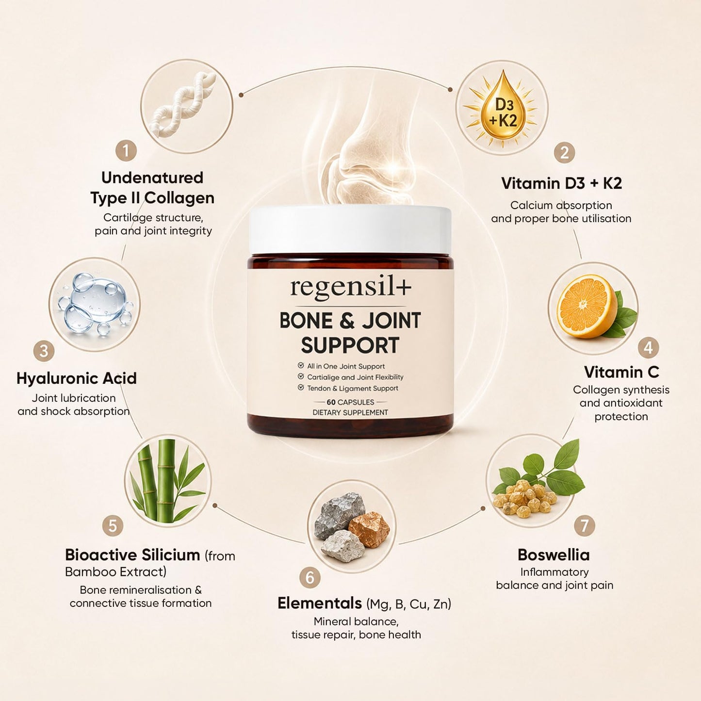 REGENSIL Triple Action Joint Support, 60 Capsules