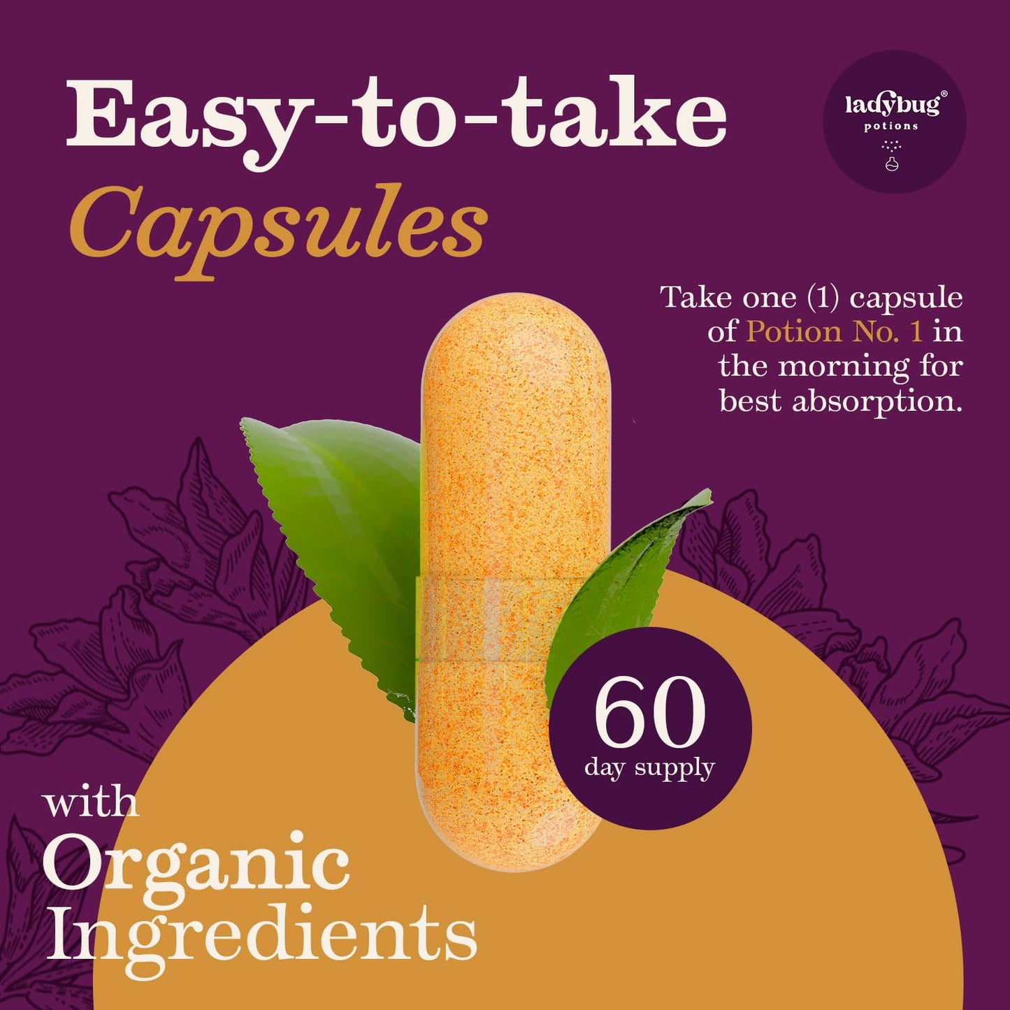 Ladybug Potions Organic Apple Cider Vinegar Capsules, 60 Count