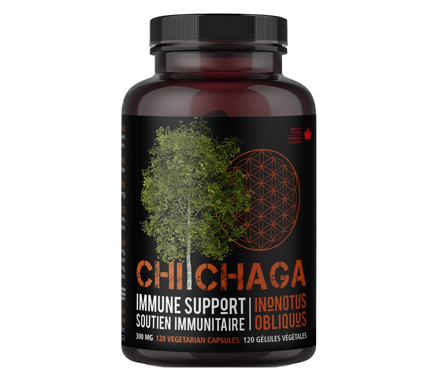 CHI CHAGA Chaga Mushroom Capsules, 120 Capsules