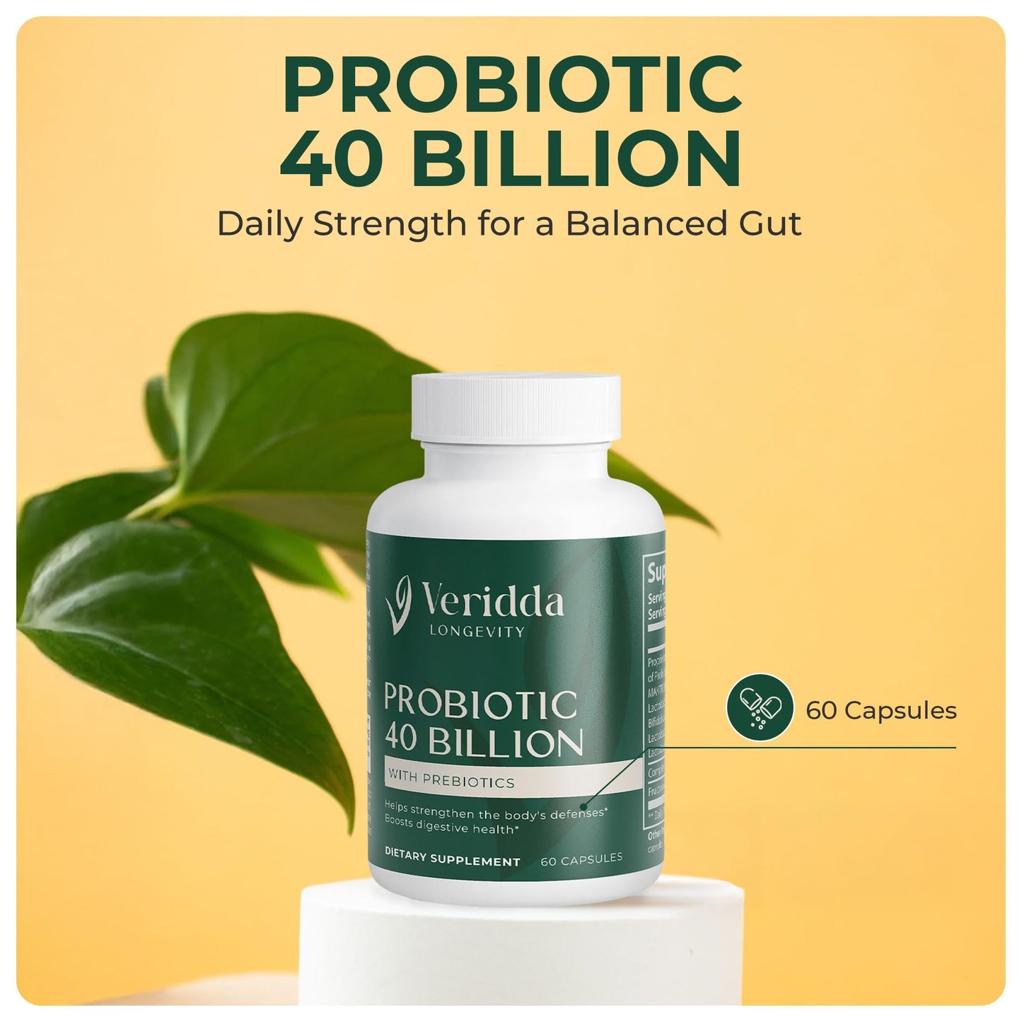 Veridda Longevity Probiotic 40 Billion with Prebiotics, Daily Gut Health for Women & Men, Digestive Support, 60 Capsules