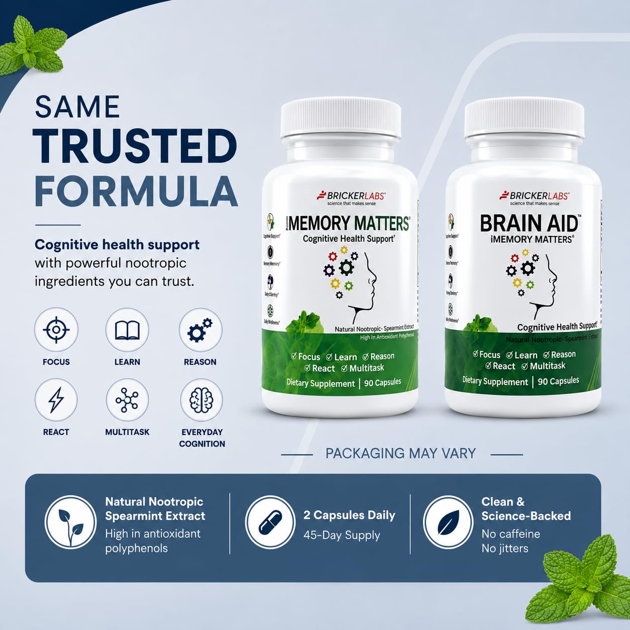 Bricker Labs Brain Aid Memory Matters Nootropic Brain Supplement with Neumentix Spearmint Extract Capsules, 90 Count