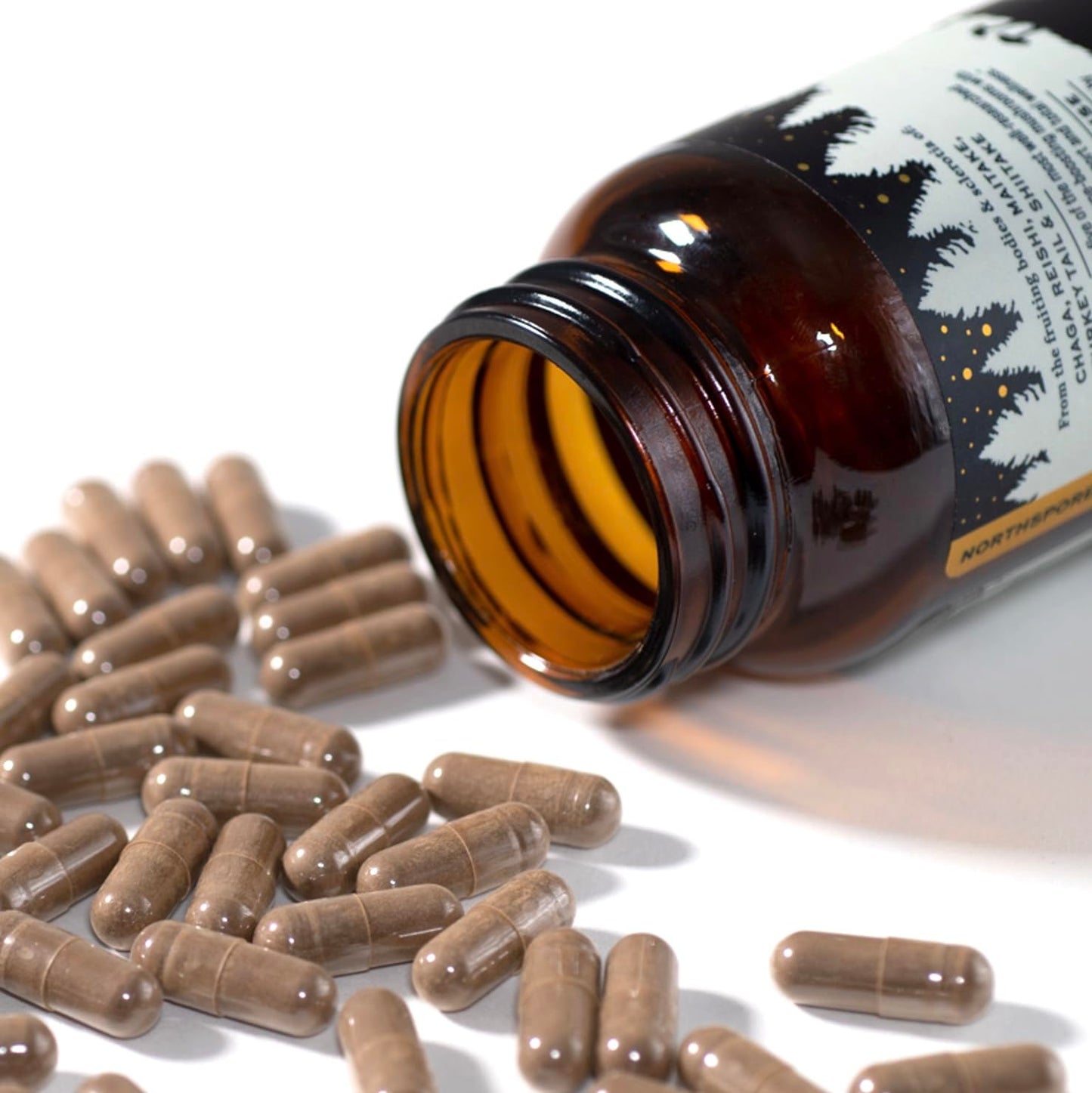 North Spore Spectrum 10 Mushroom Extract Supplement Capsules 60