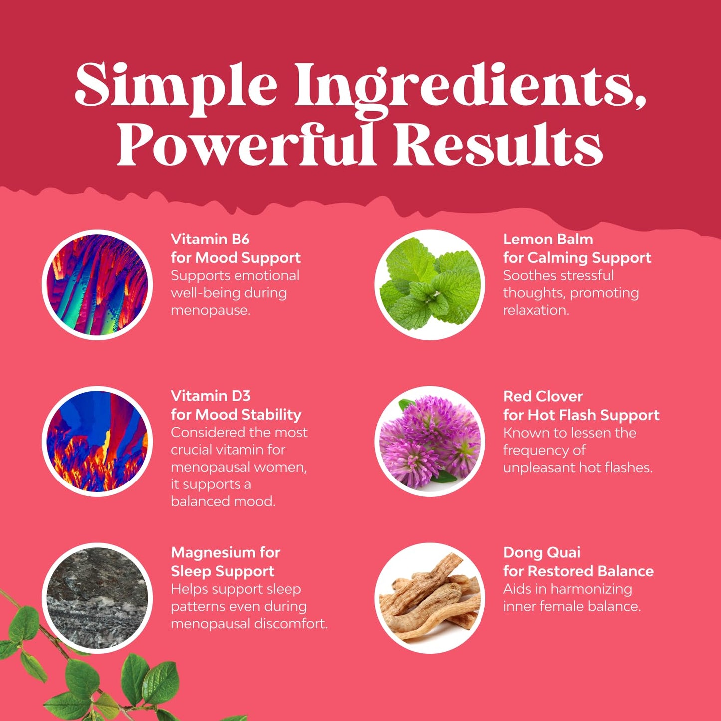 Natures Craft Complete Herbal Menopause Supplement for Women Capsules 60 Count