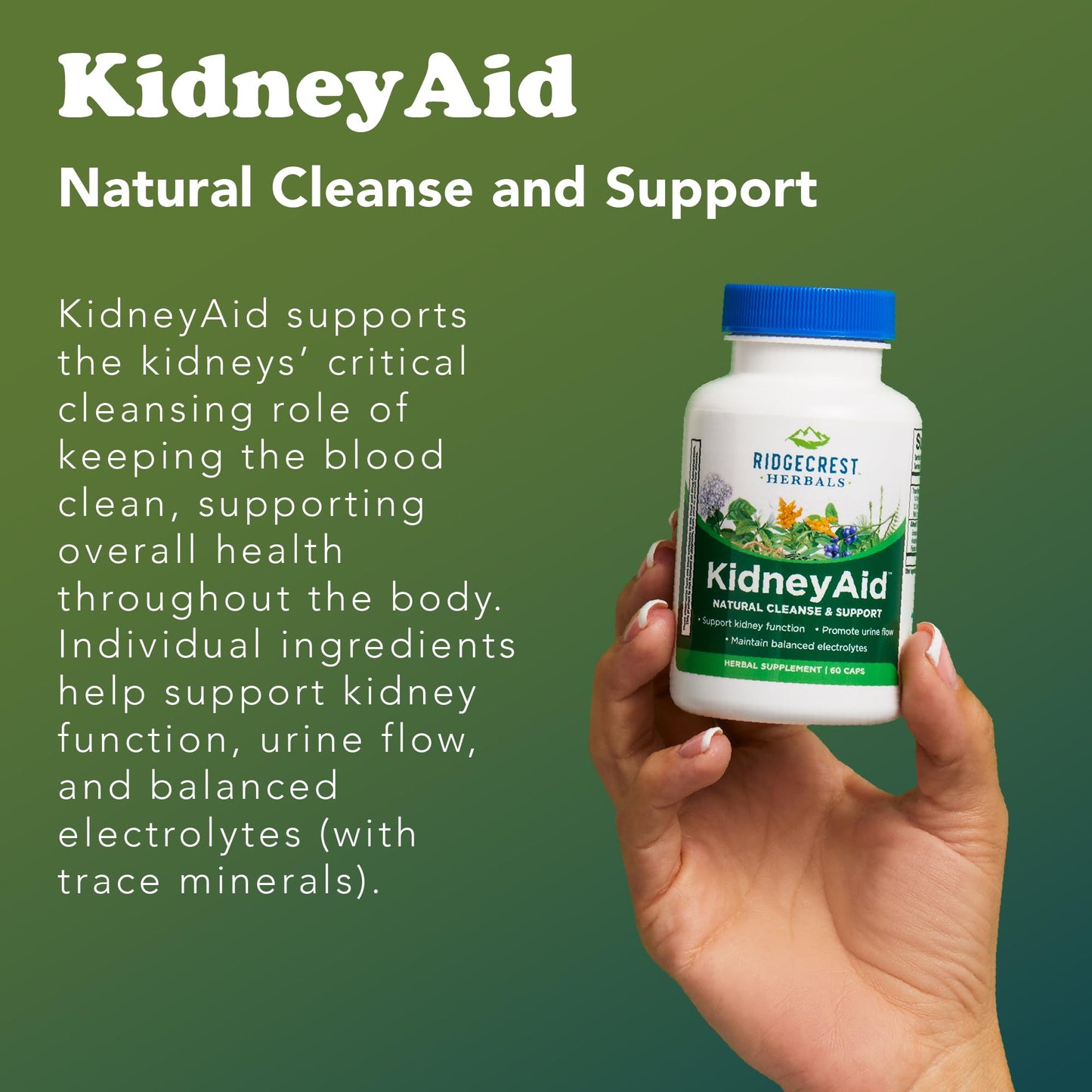 RidgeCrest Herbals KidneyAid Kidney and Urinary Tract Support 60 Capsules