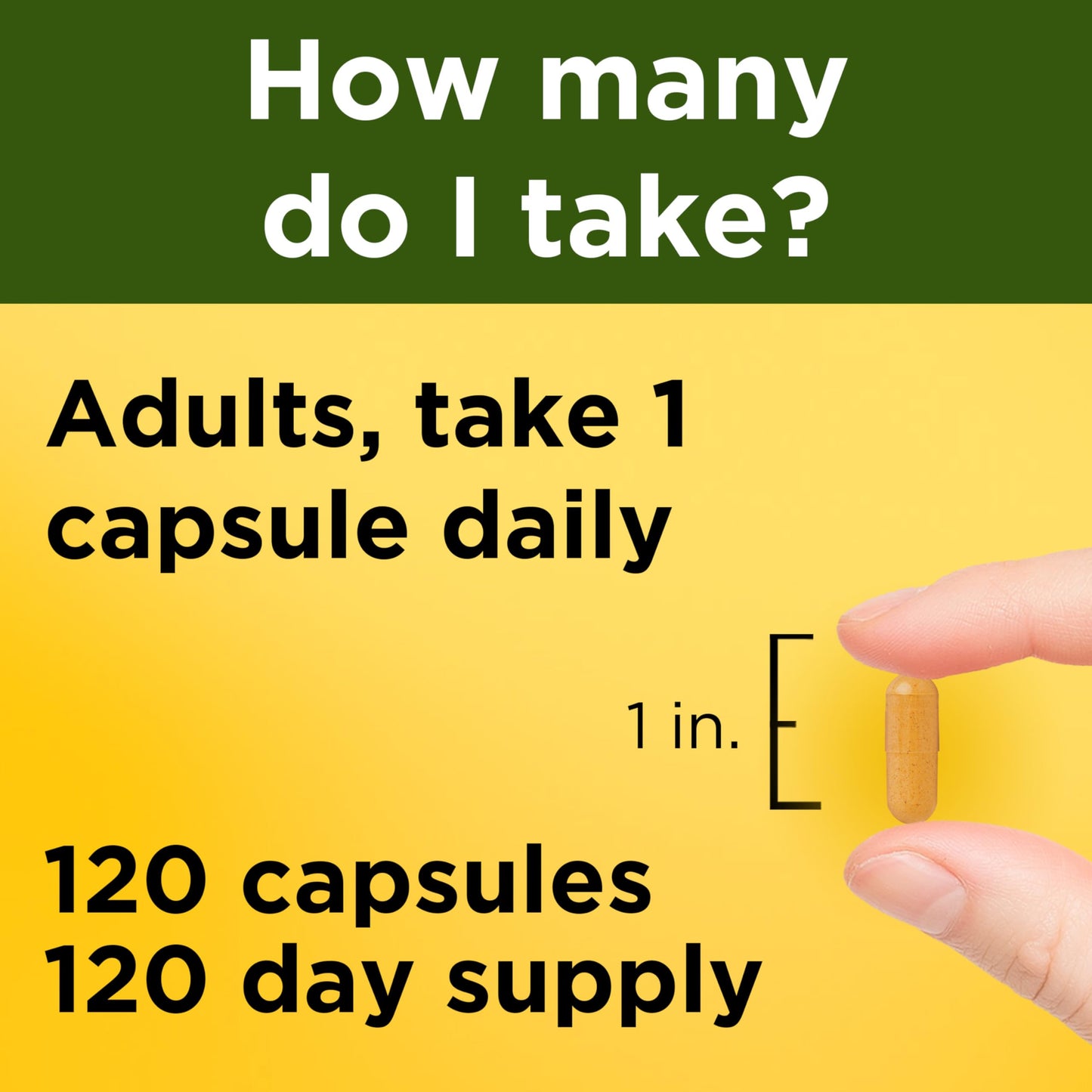 Nature Made Turmeric Curcumin 500 mg Capsules 120 Count