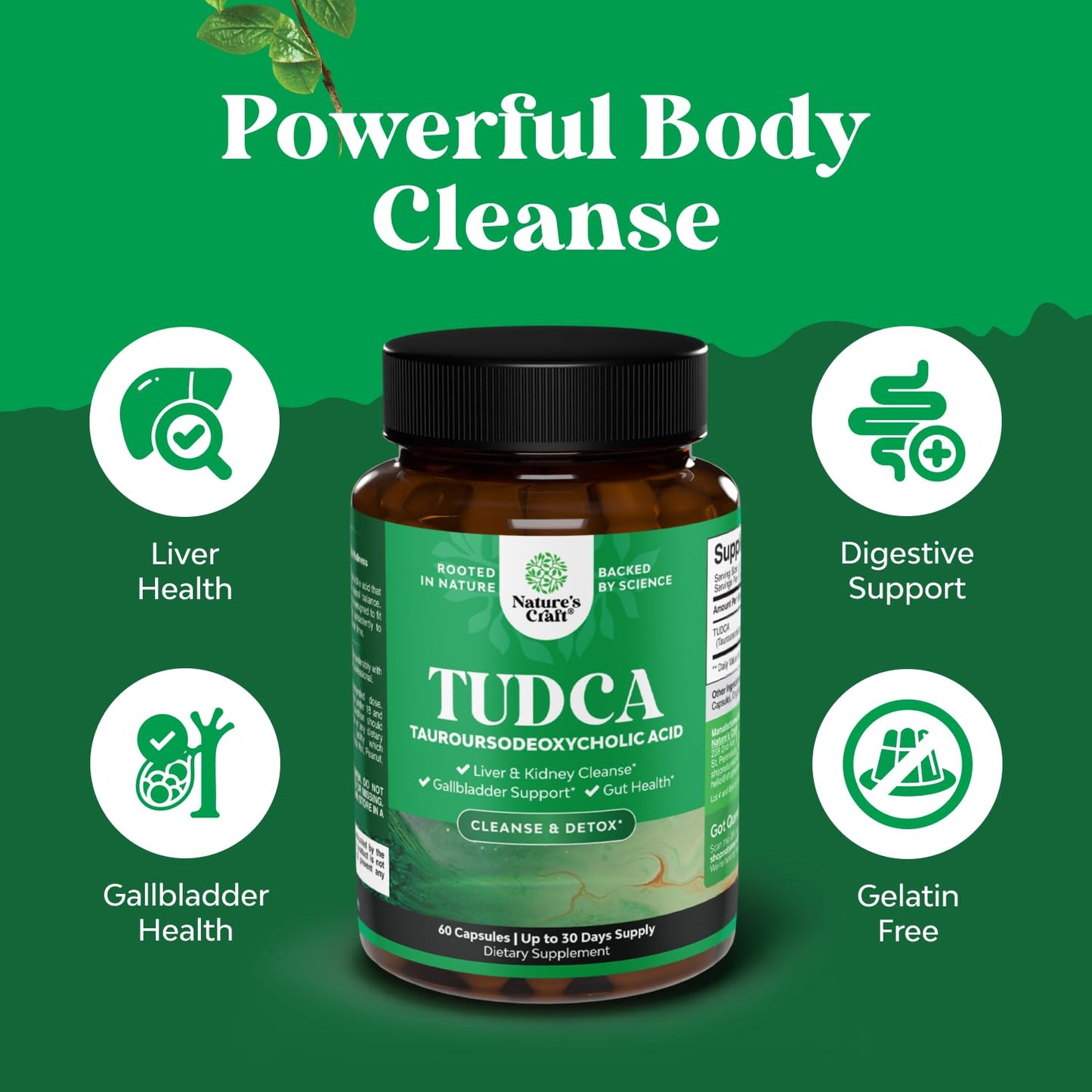 Natures Craft Advanced Bile Salt TUDCA Supplement-Extra Strength TUDCA 500mg per Serving Bile Salts for Gallbladder Kidney and Liver Support-High Purity Tauro Ursodeoxycholic Acid Liver and Gallbladder Cleanse Capsule 60 Count