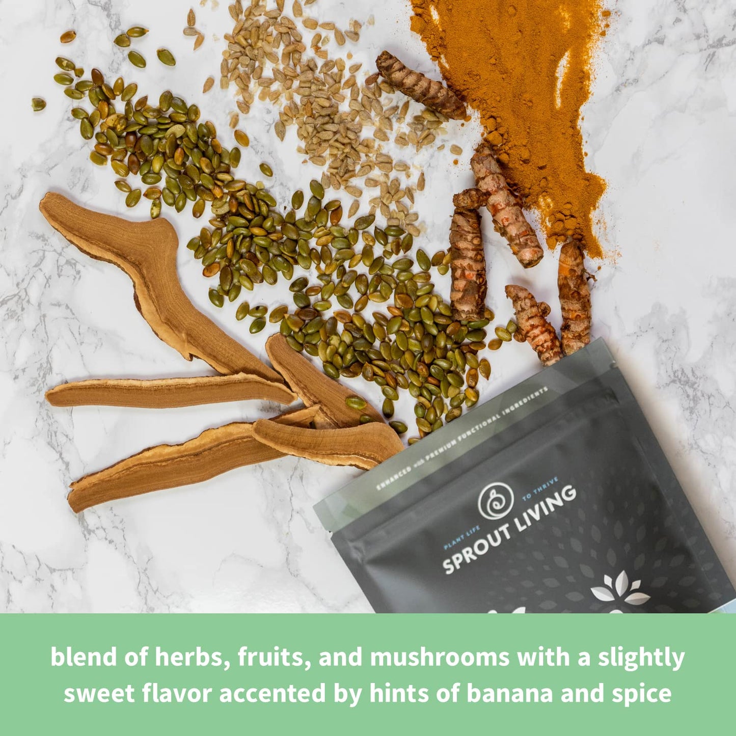 Sprout Living Epic Protein Plant-Based Protein & Superfoods Powder Real Sport, 16 Servings