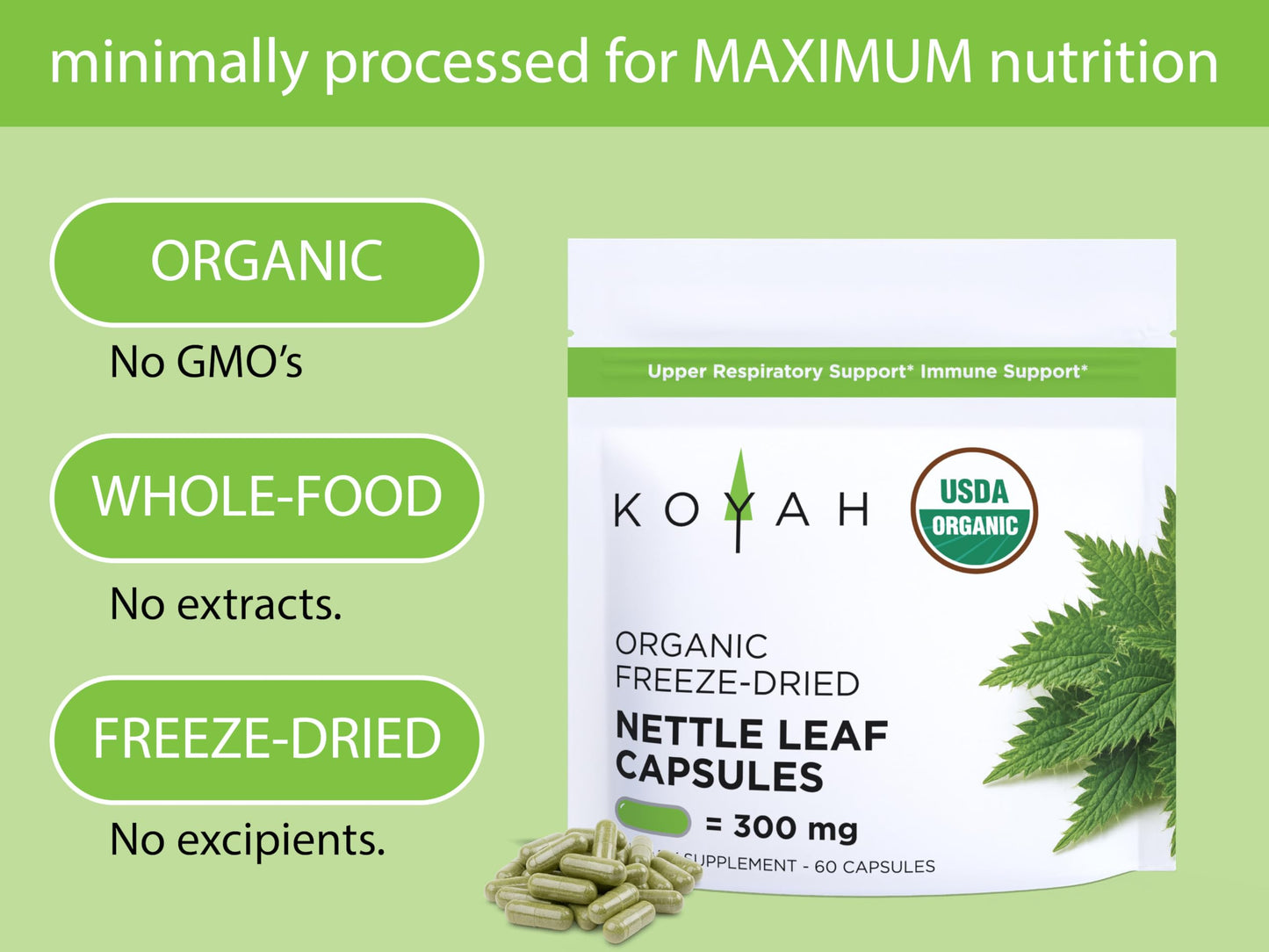 KOYAH Organic Stinging Nettle Leaf Capsules – Freeze-Dried Whole Leaf – 300 mg per Capsule – Upper Respiratory Support & Immune Support – 60 Capsules