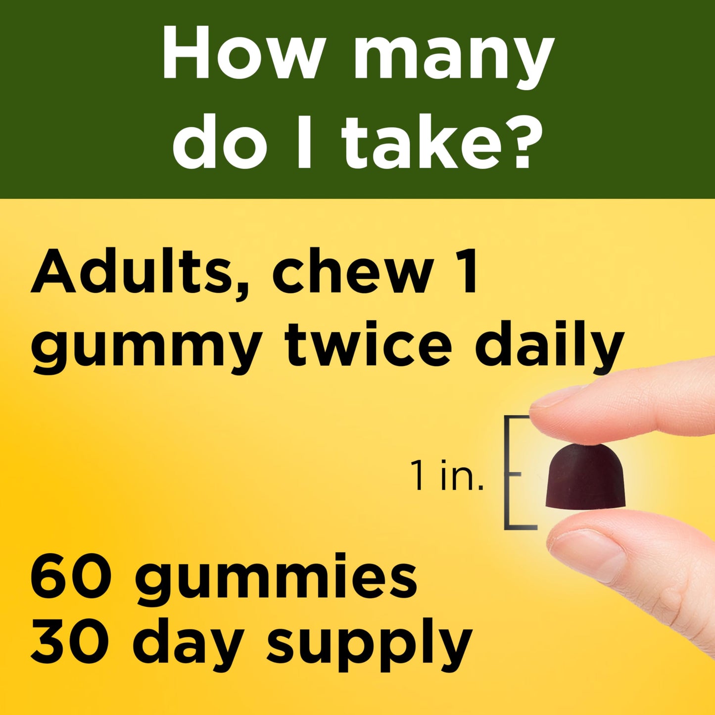 Nature Made Ashwagandha Gummies 60 Count