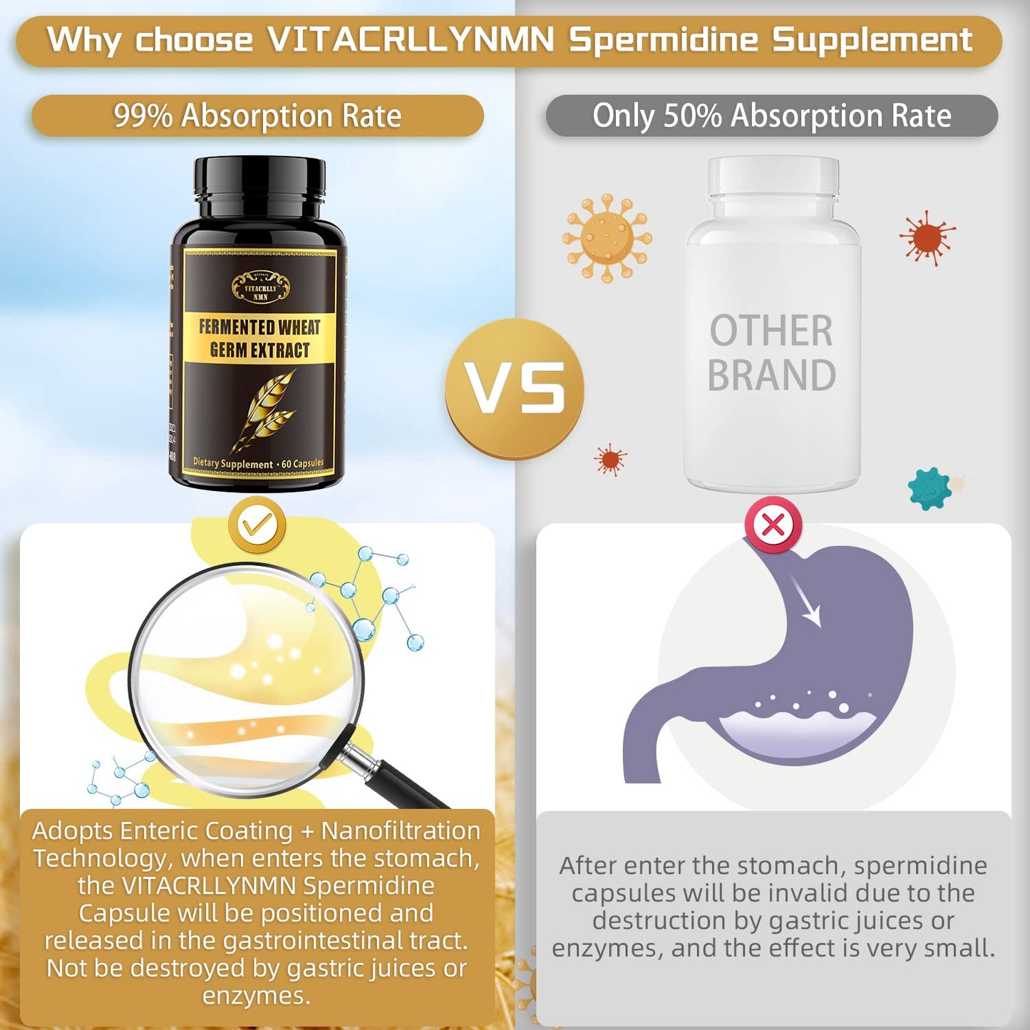 VITACRLLYNMN 1000mg Spermidine Supplements Fermented Wheat Germ Extract with Zinc 60 Capsules